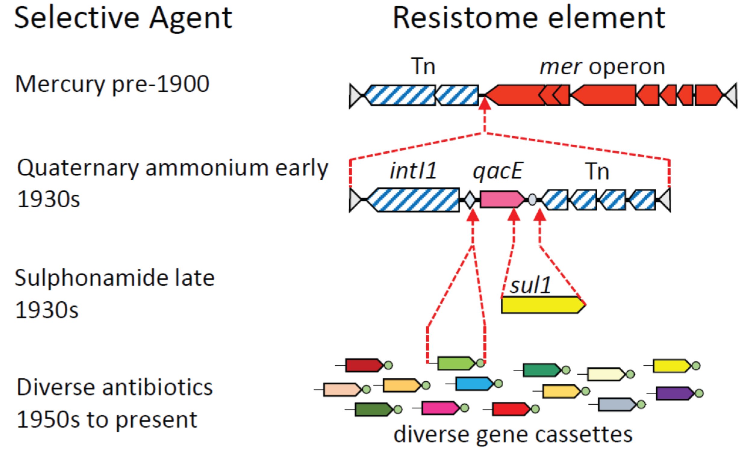 Genes 06 00841 g002