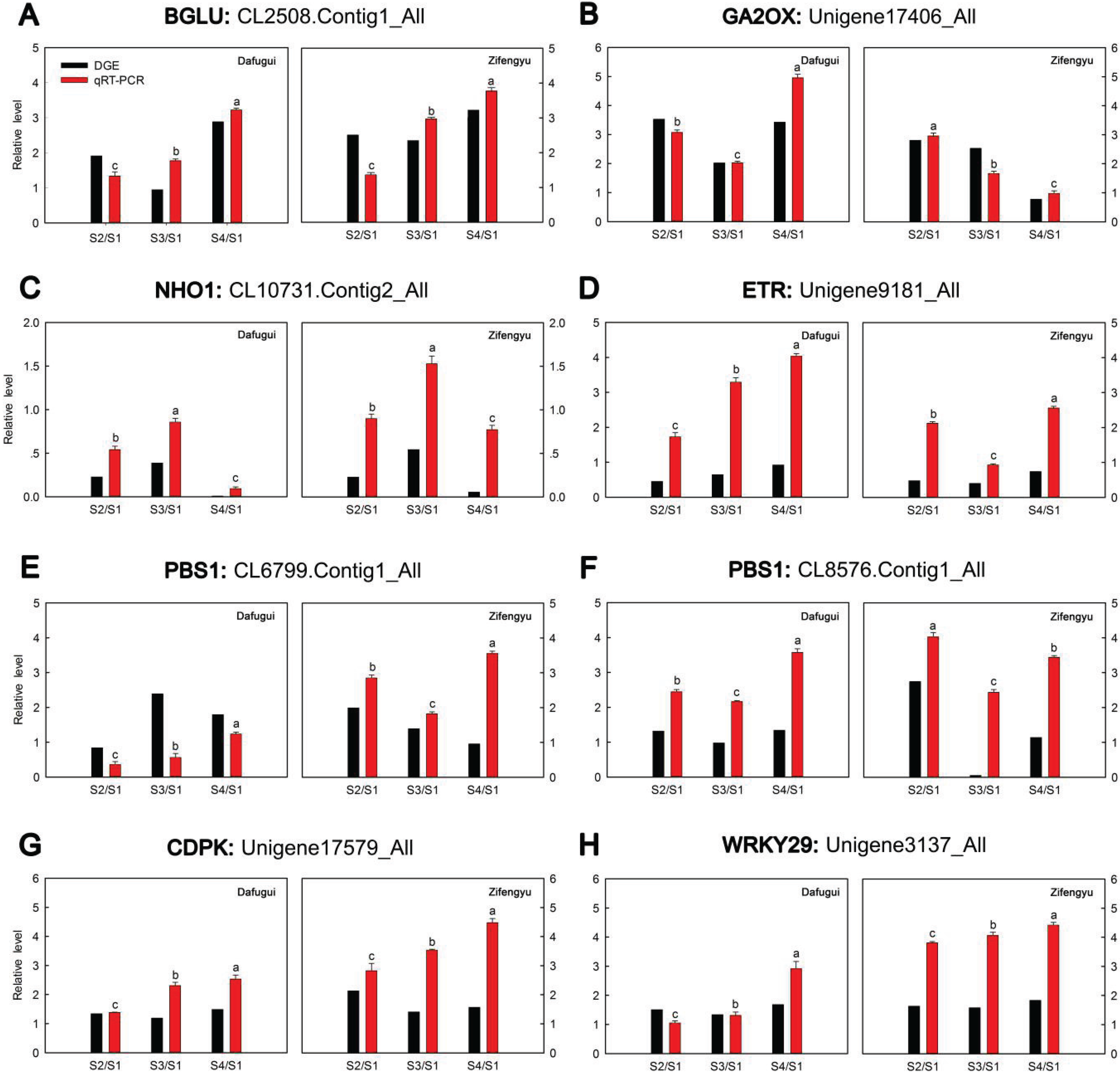 Identification of miRNAs Responsive to Botrytis cinerea in