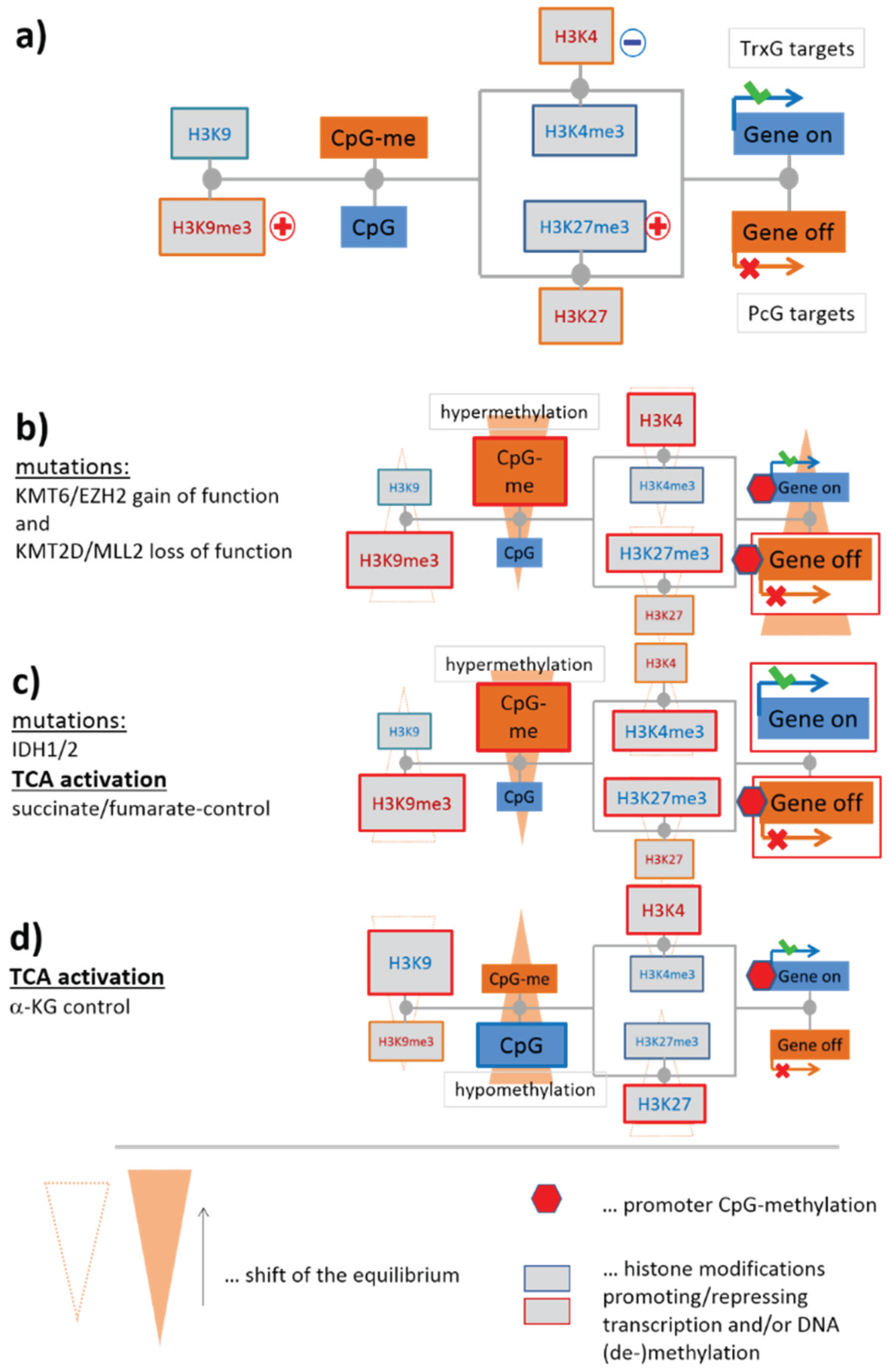 Genes 06 01076 g004