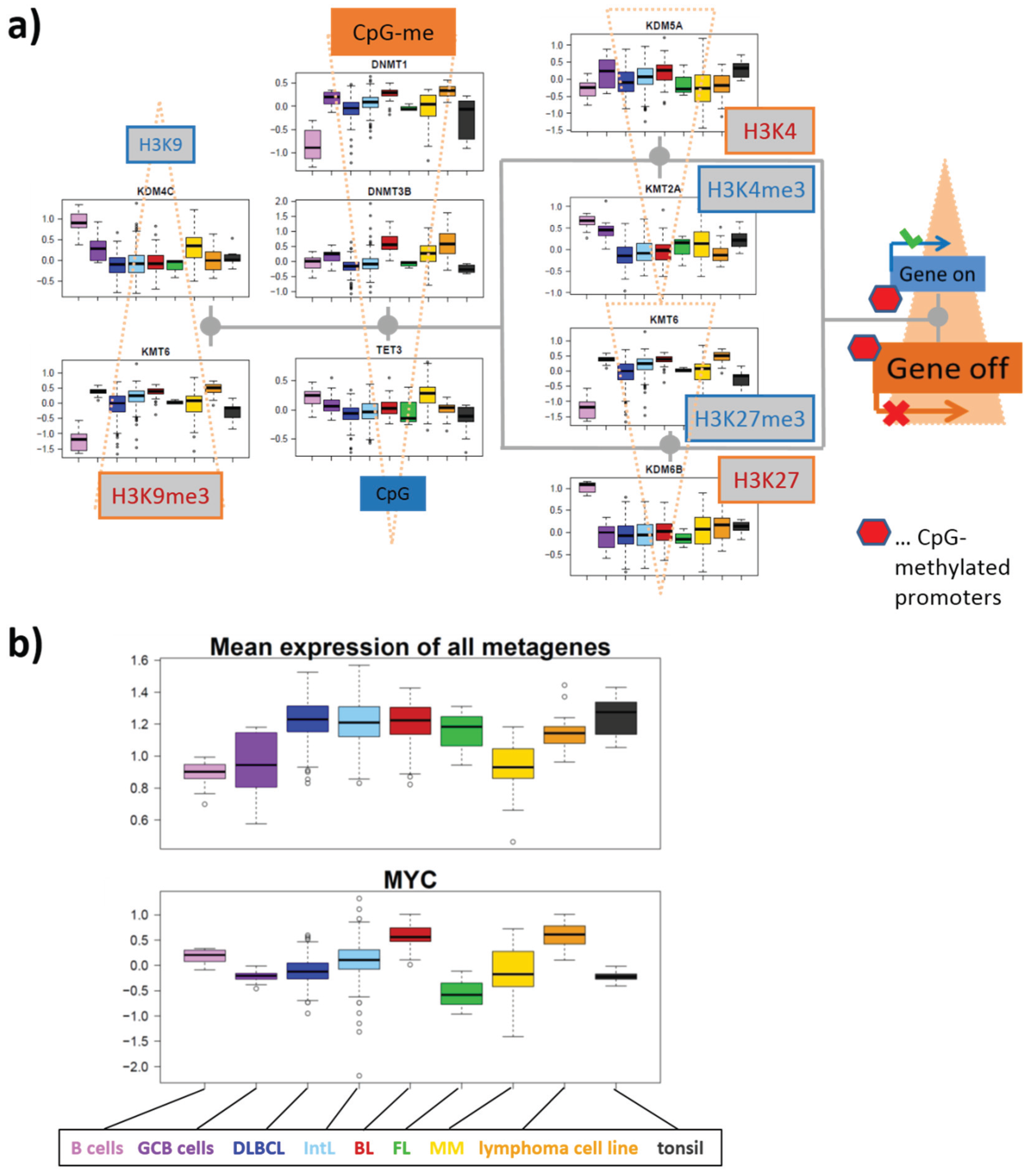 Genes 06 01076 g010