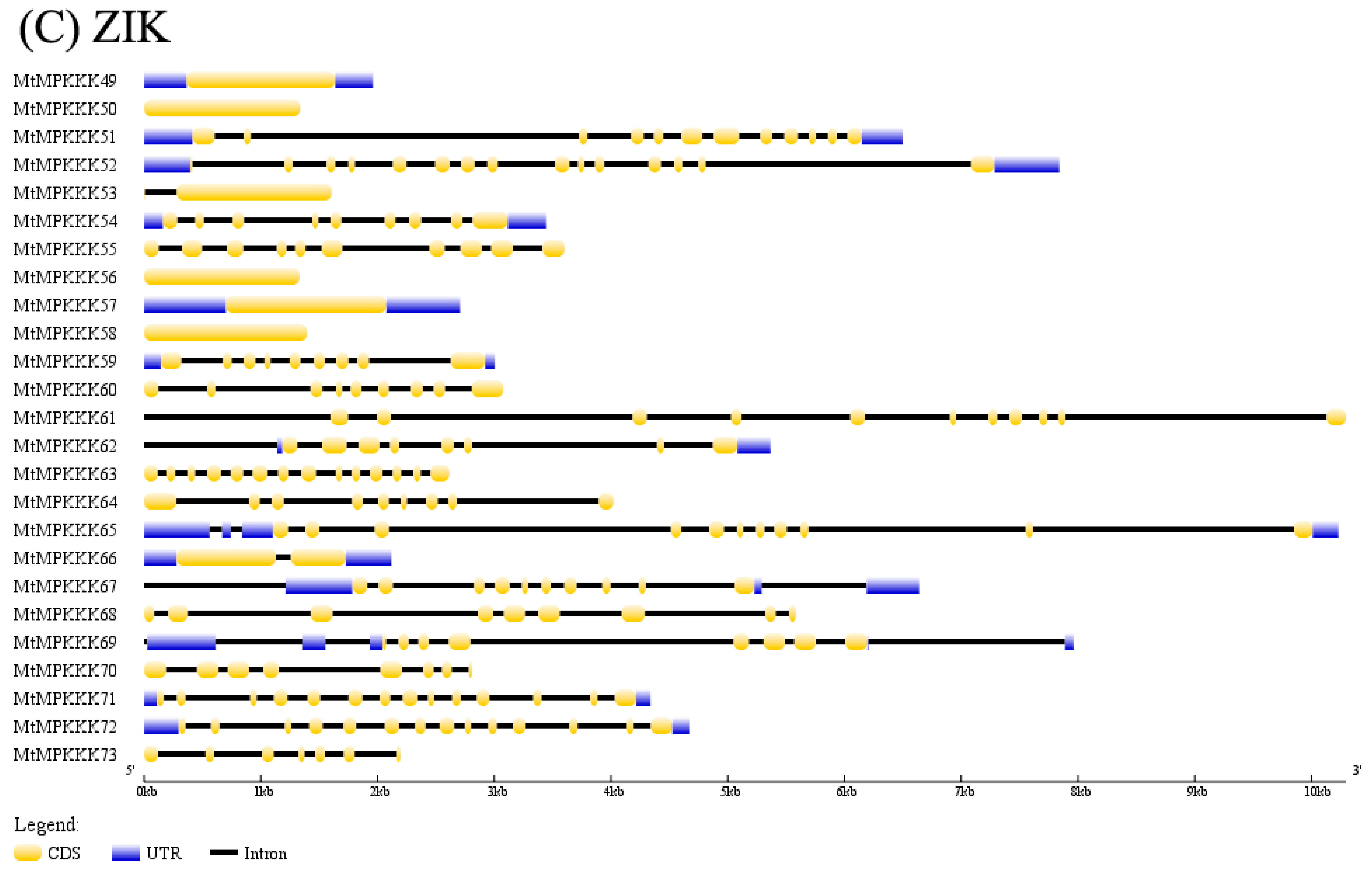 Genes 07 00013 g001c