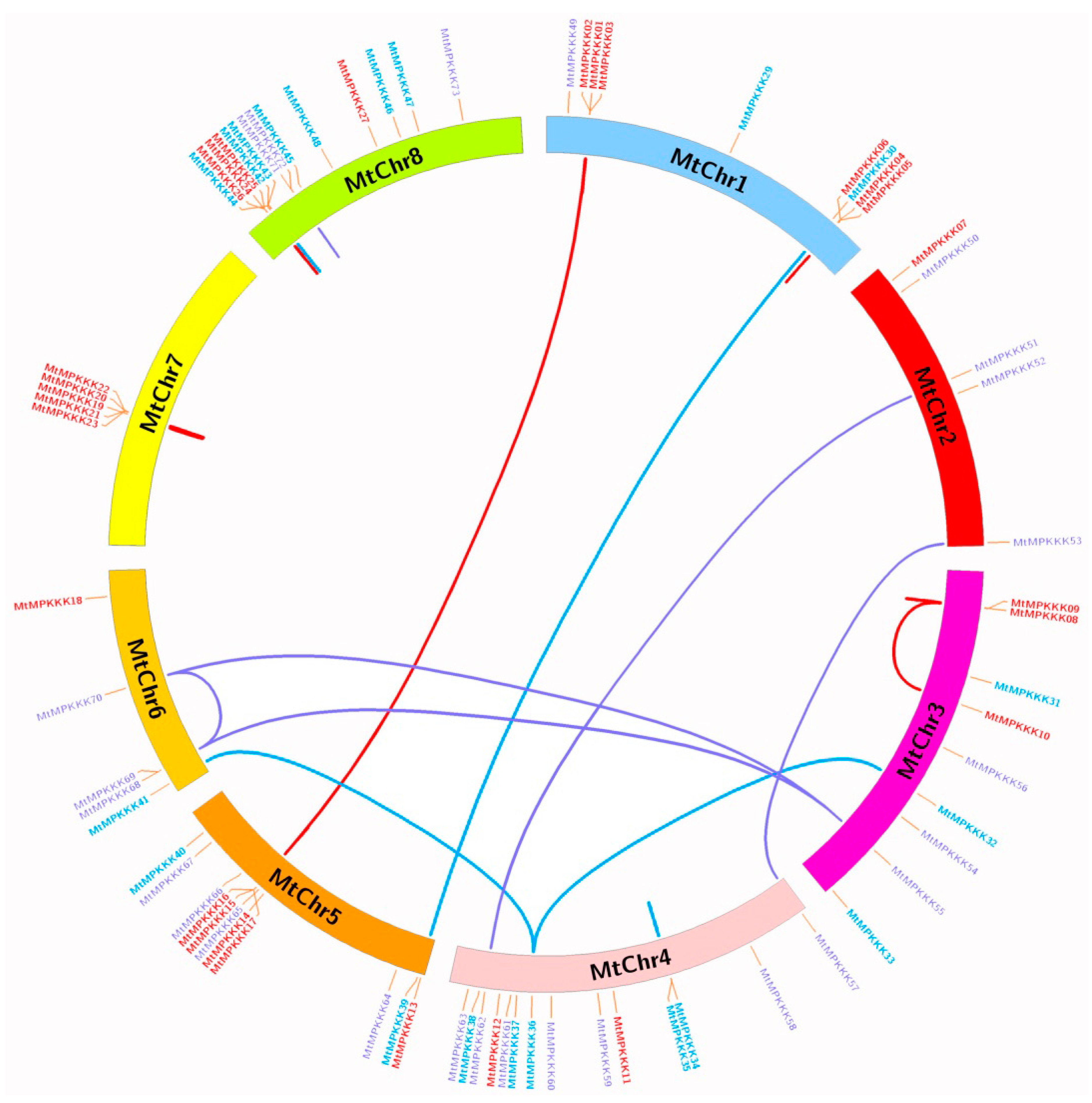 Genes 07 00013 g003