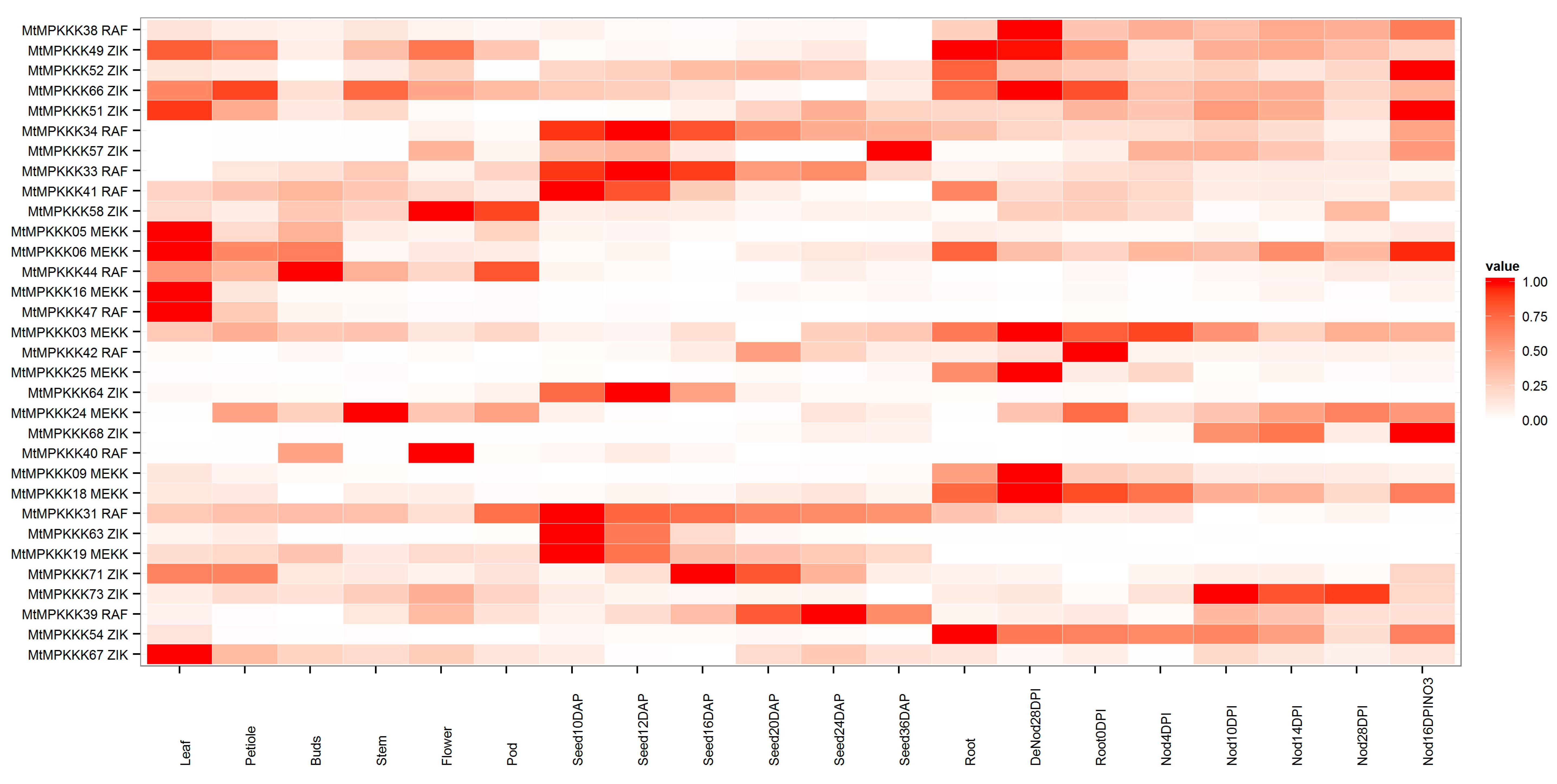 Genes 07 00013 g004
