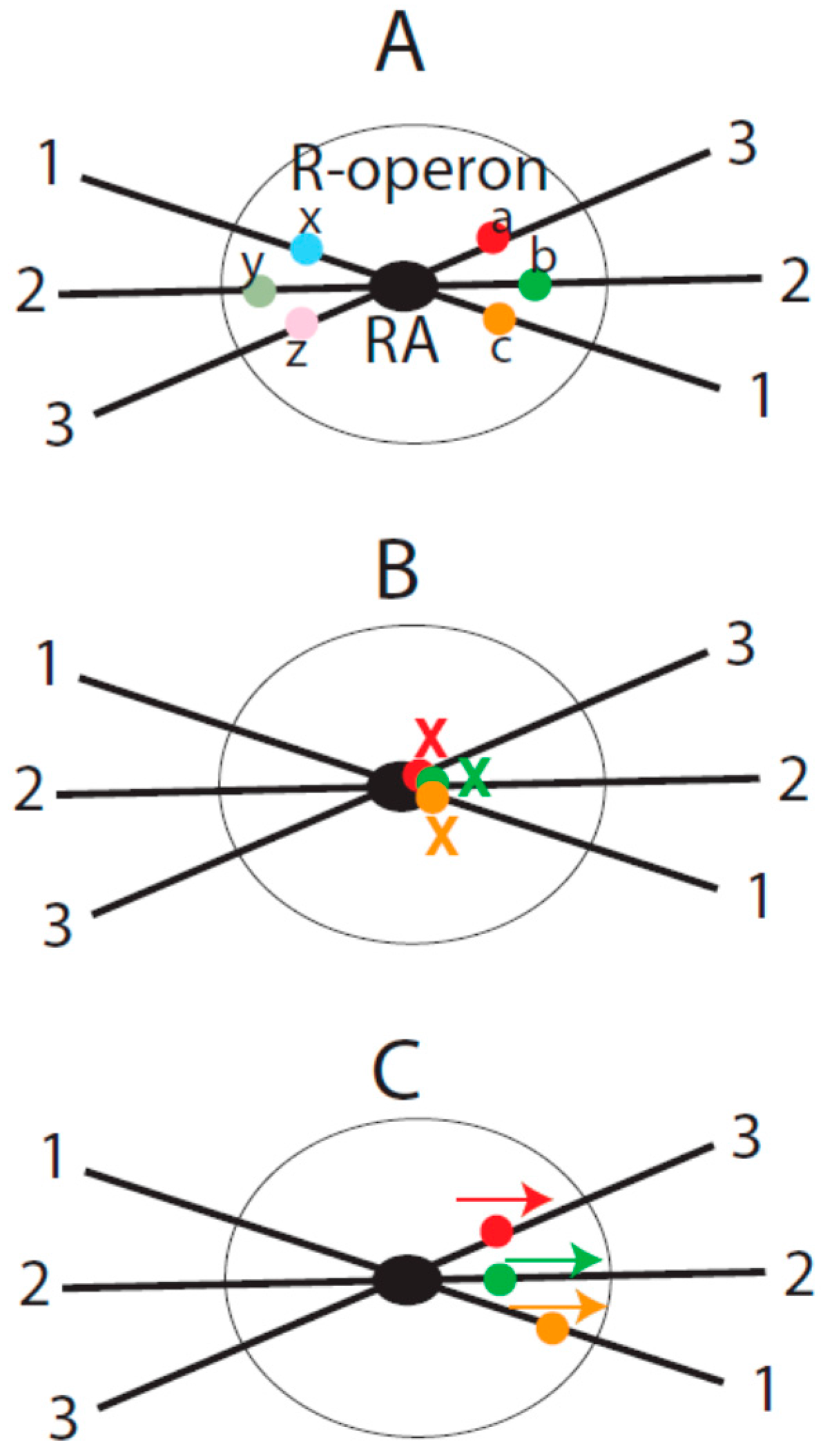 Genes 07 00016 g001 1024