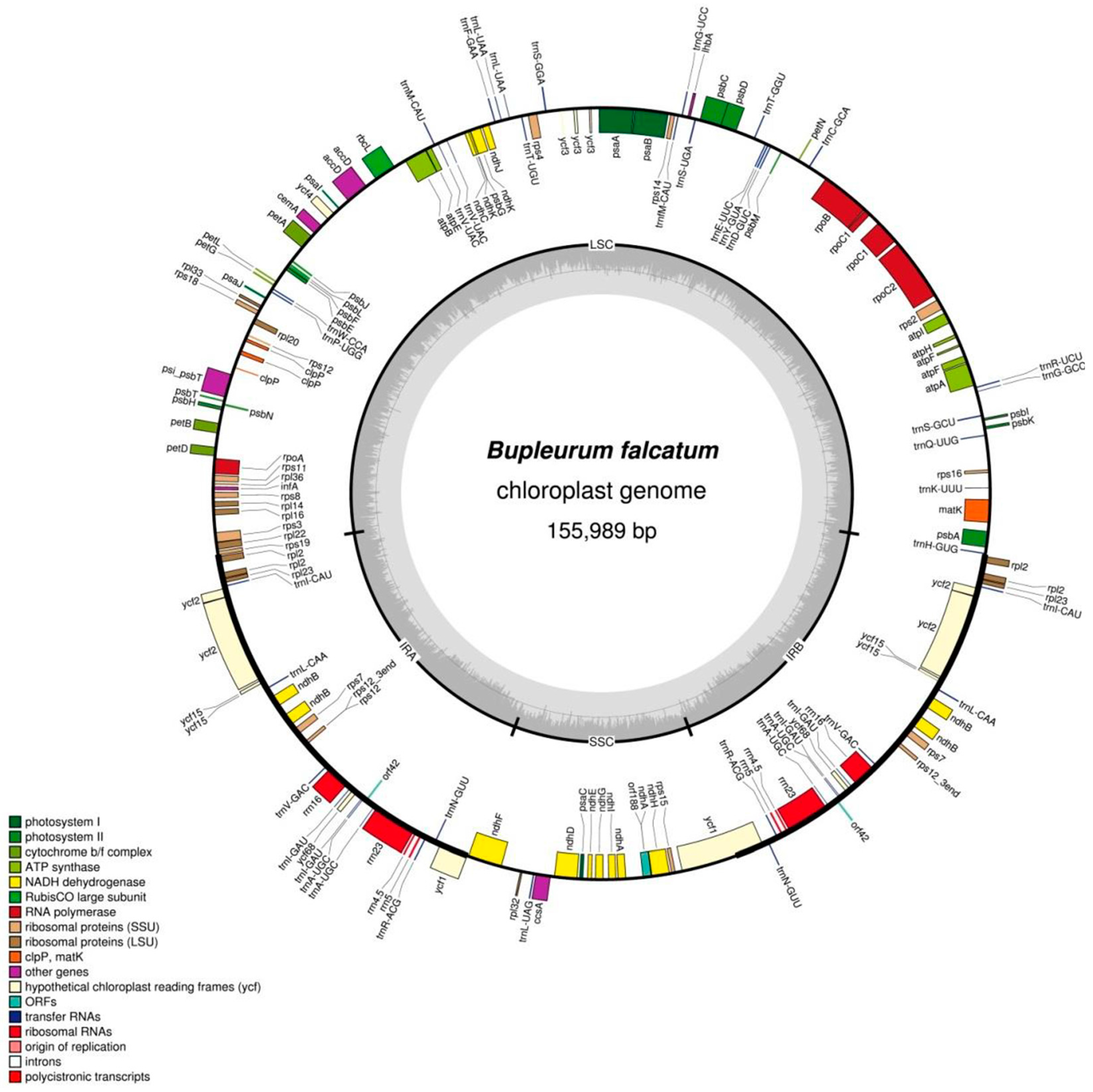 Genes 07 00020 g001 1024