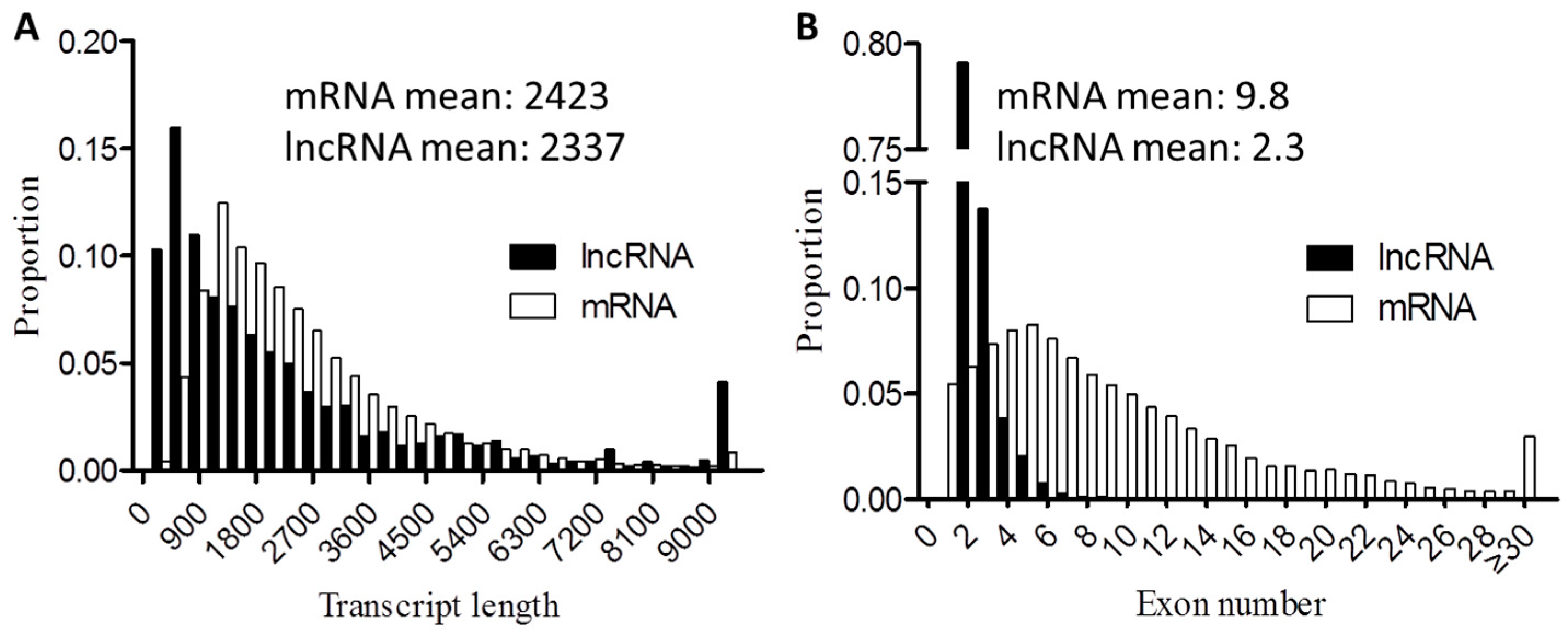 Genes Free FullText Long Noncoding RNA and mRNA Expression