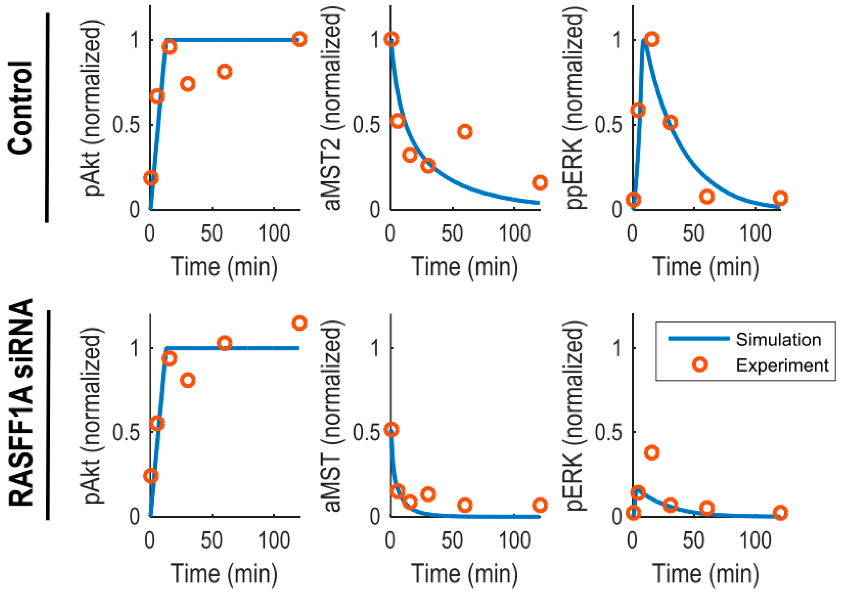 Genes 07 00044 g002 1024