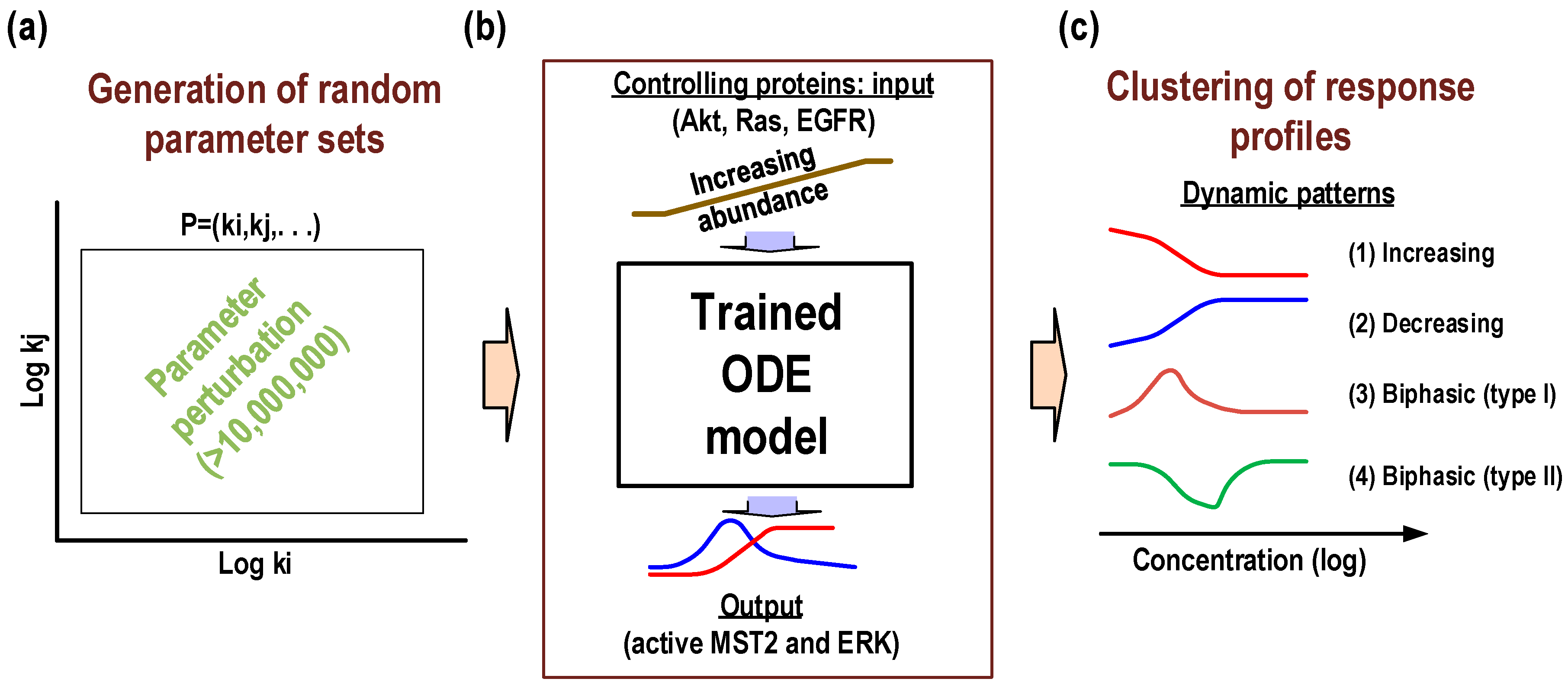Genes 07 00044 g003 1024