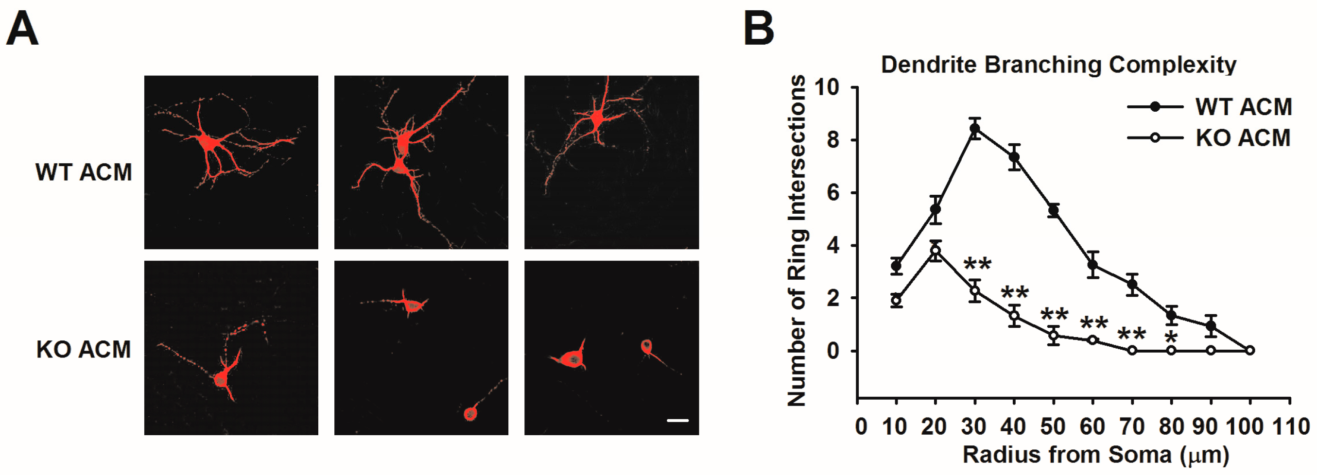Genes 07 00045 g001 1024