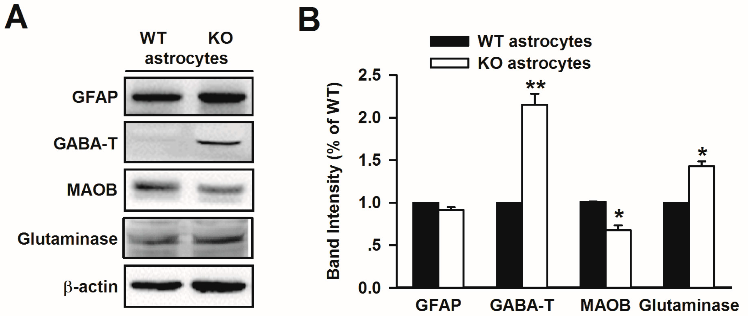 Genes 07 00045 g005 1024