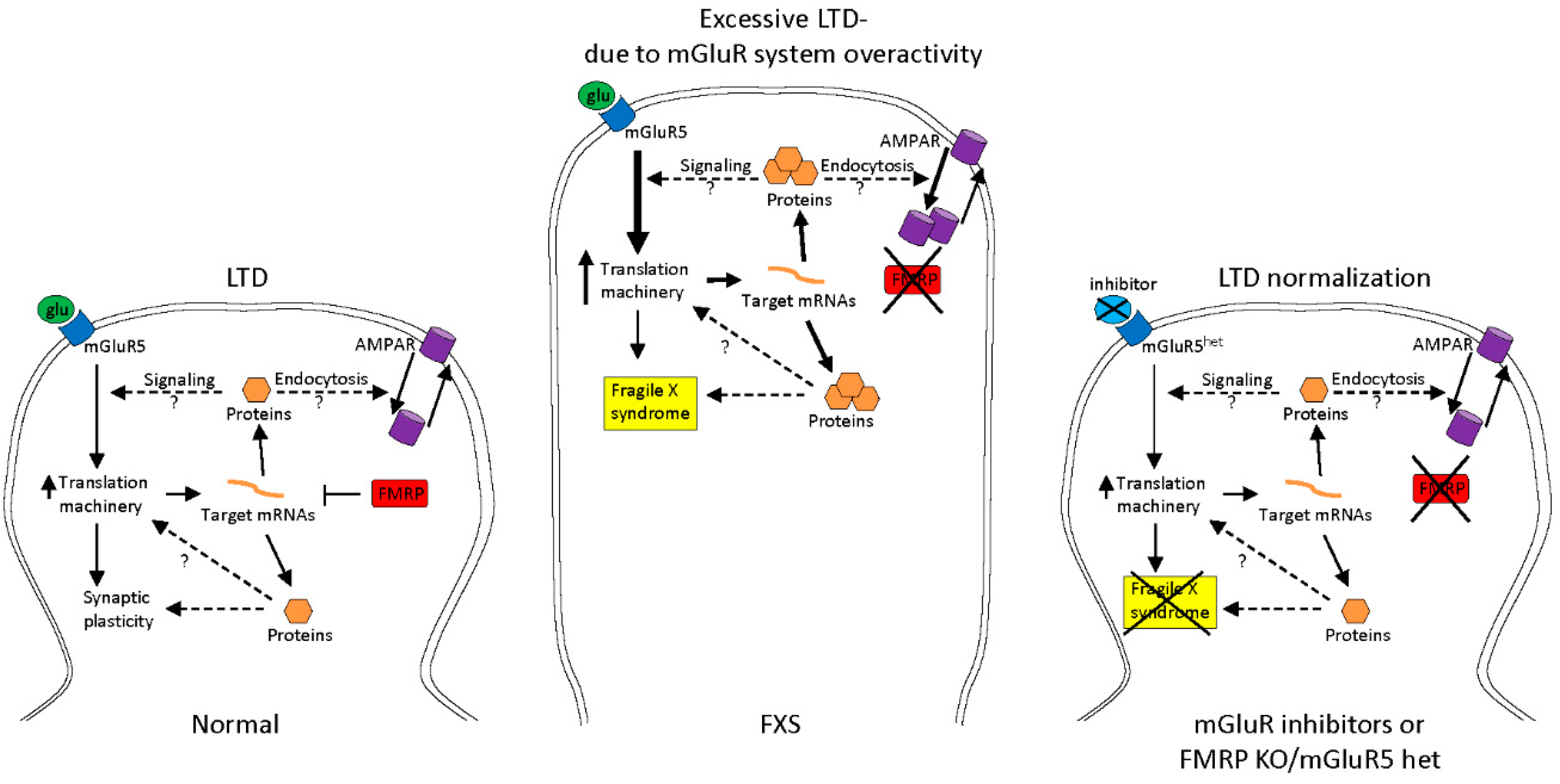 Genes 07 00049 g002