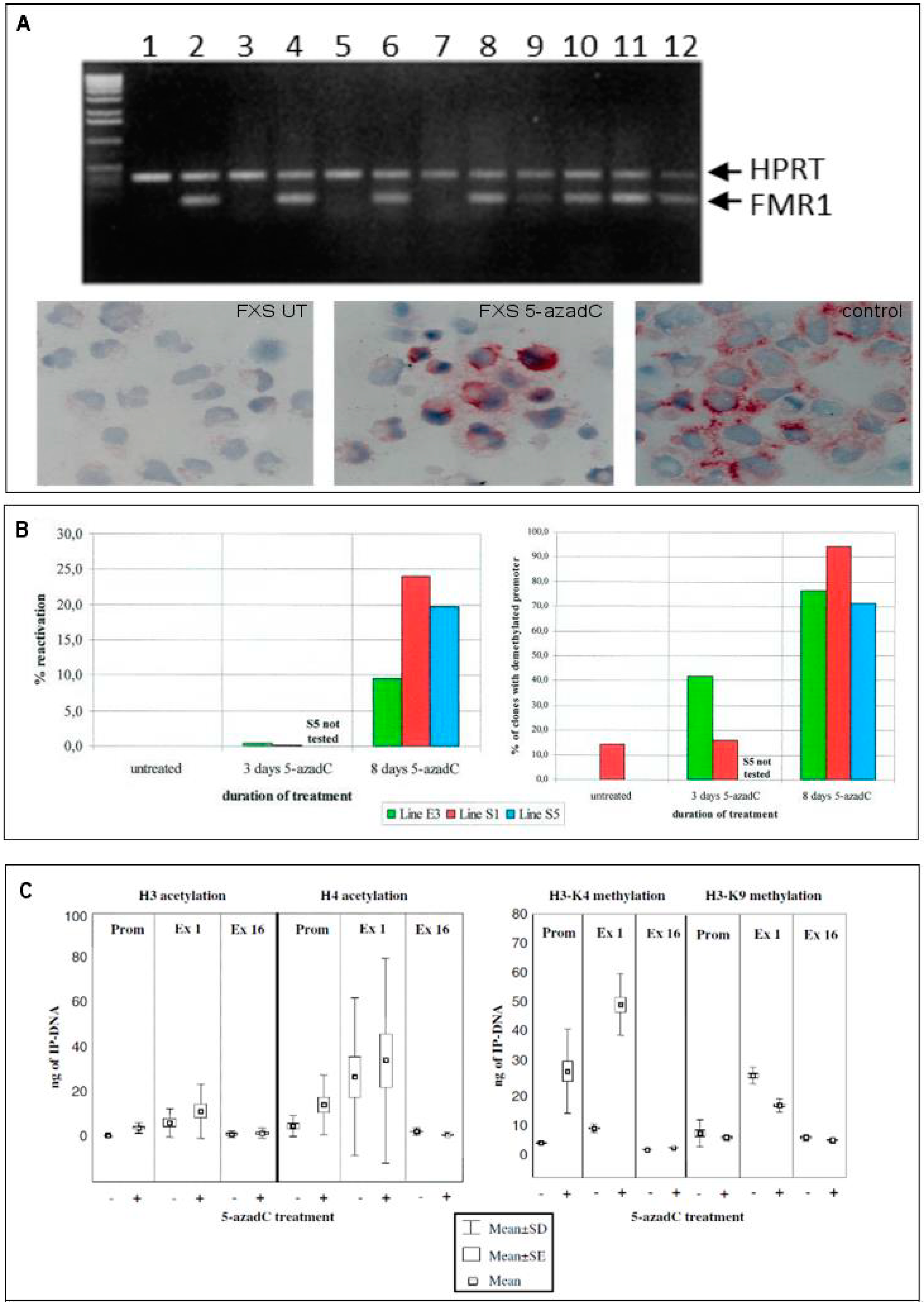 Genes 07 00049 g003