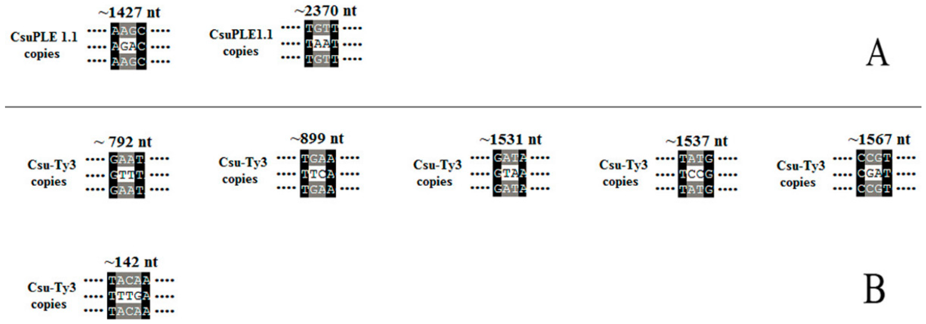 Genes 07 00072 g005