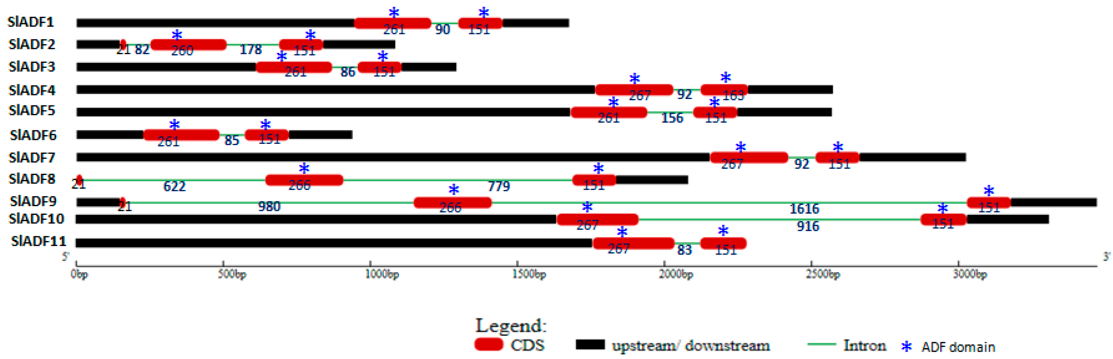 Genes 07 00079 g001
