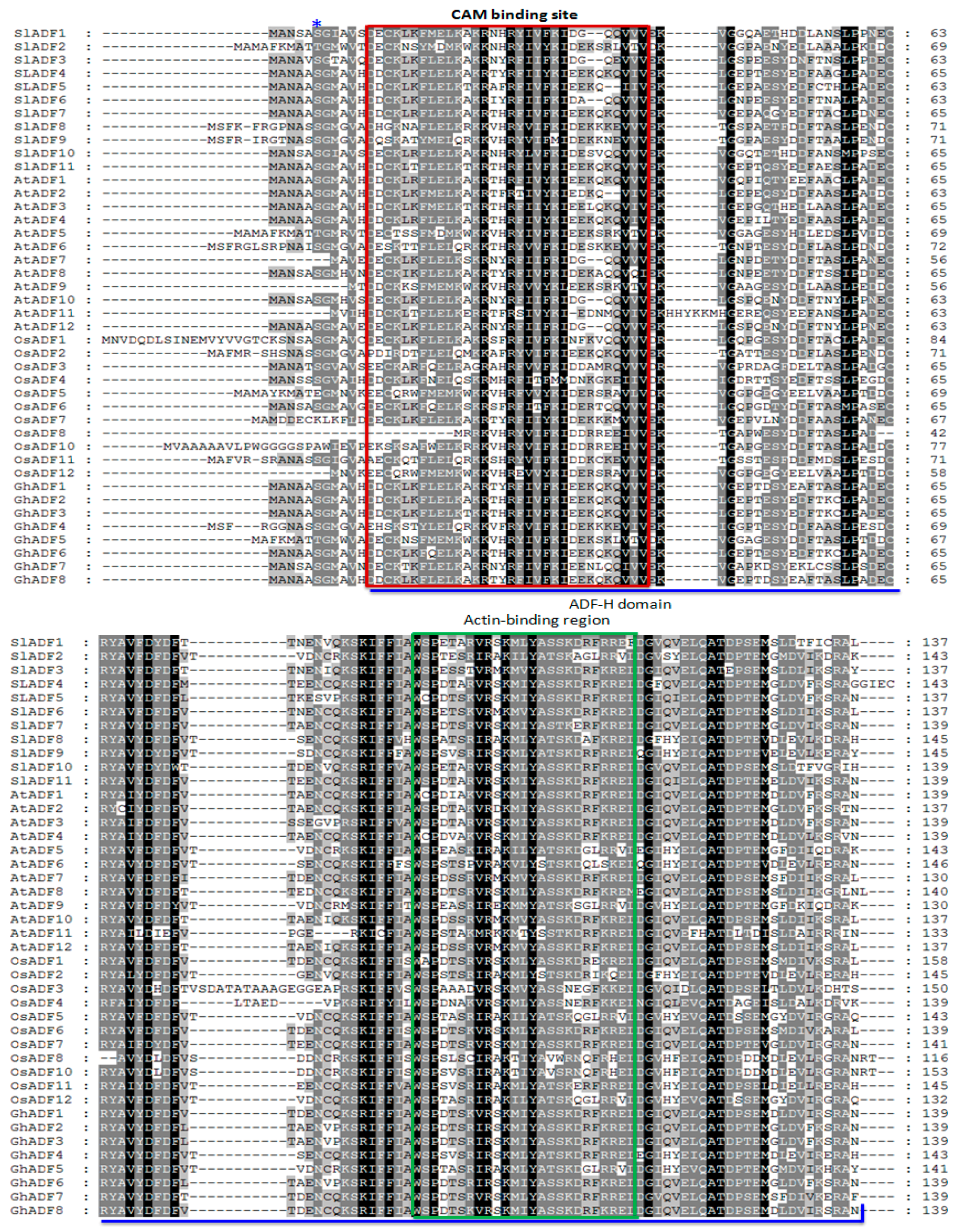 Genes 07 00079 g002