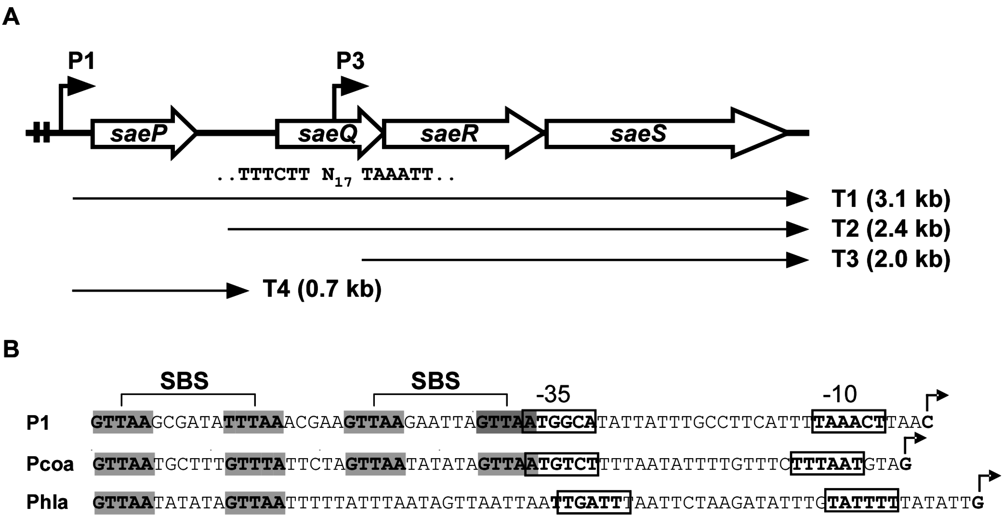 Genes 07 00081 g001