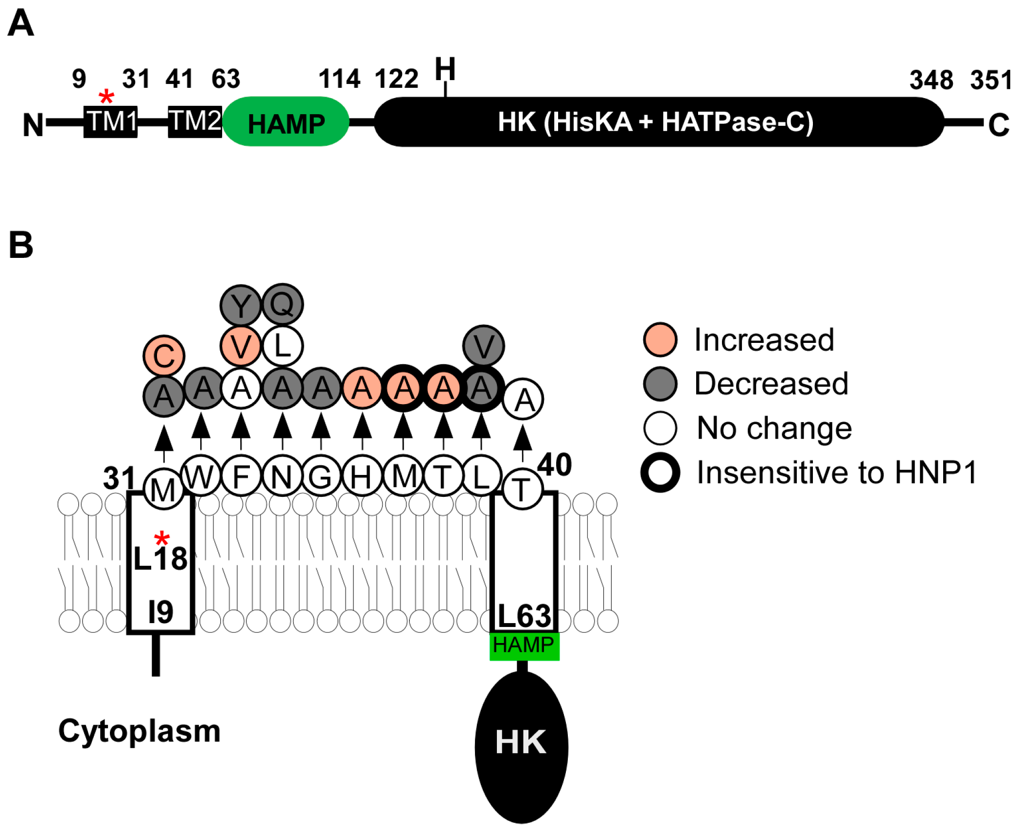 Genes 07 00081 g002
