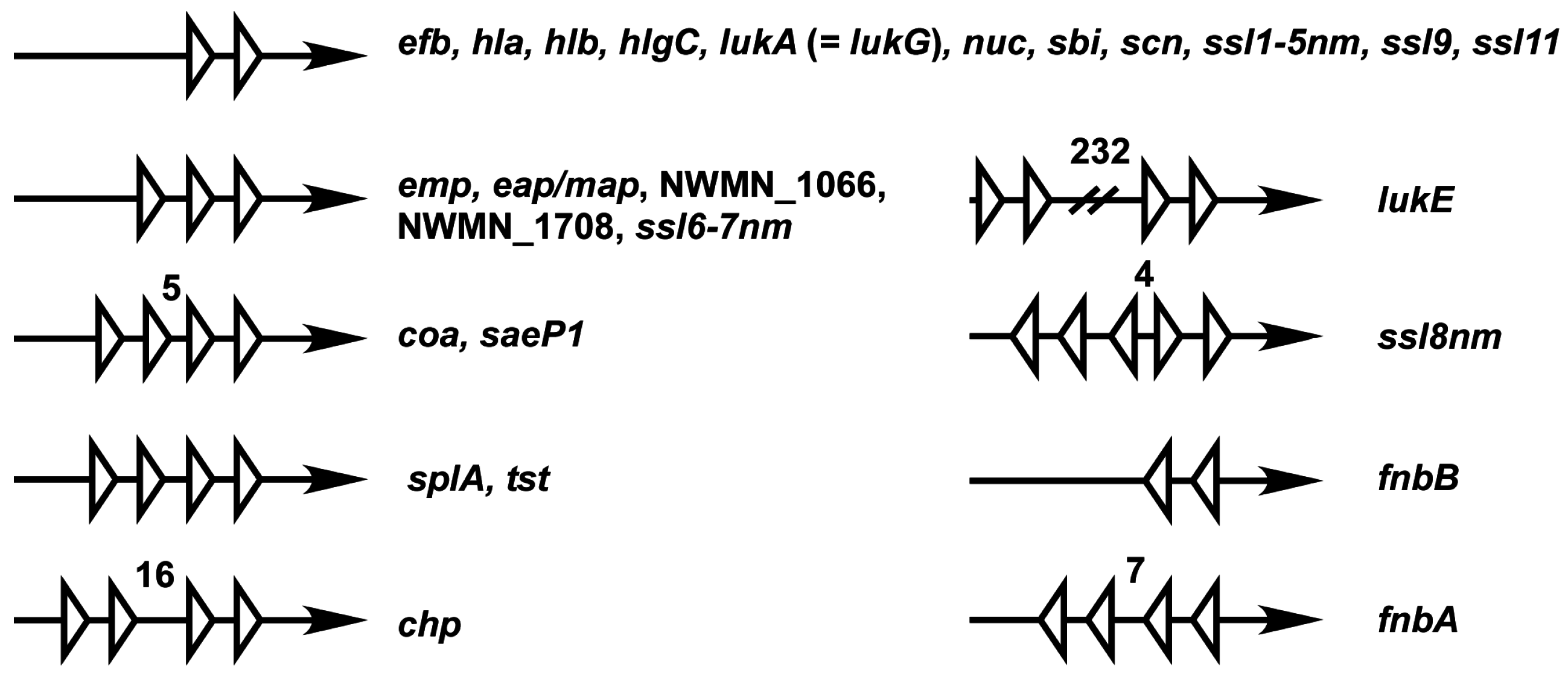 Genes 07 00081 g005