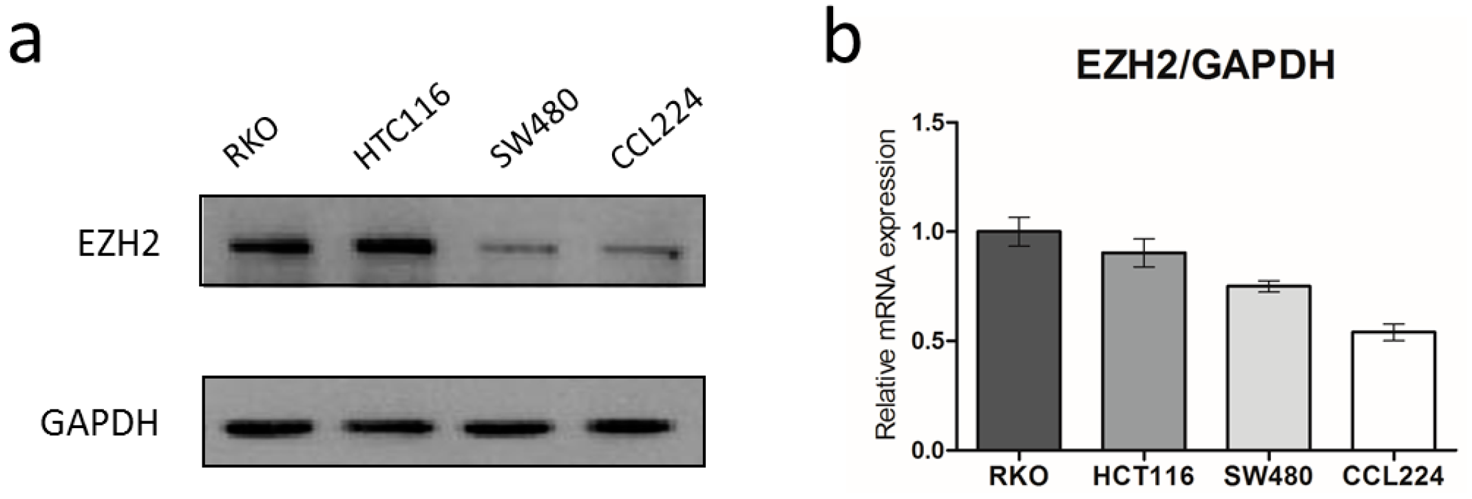 Genes 07 00083 g001
