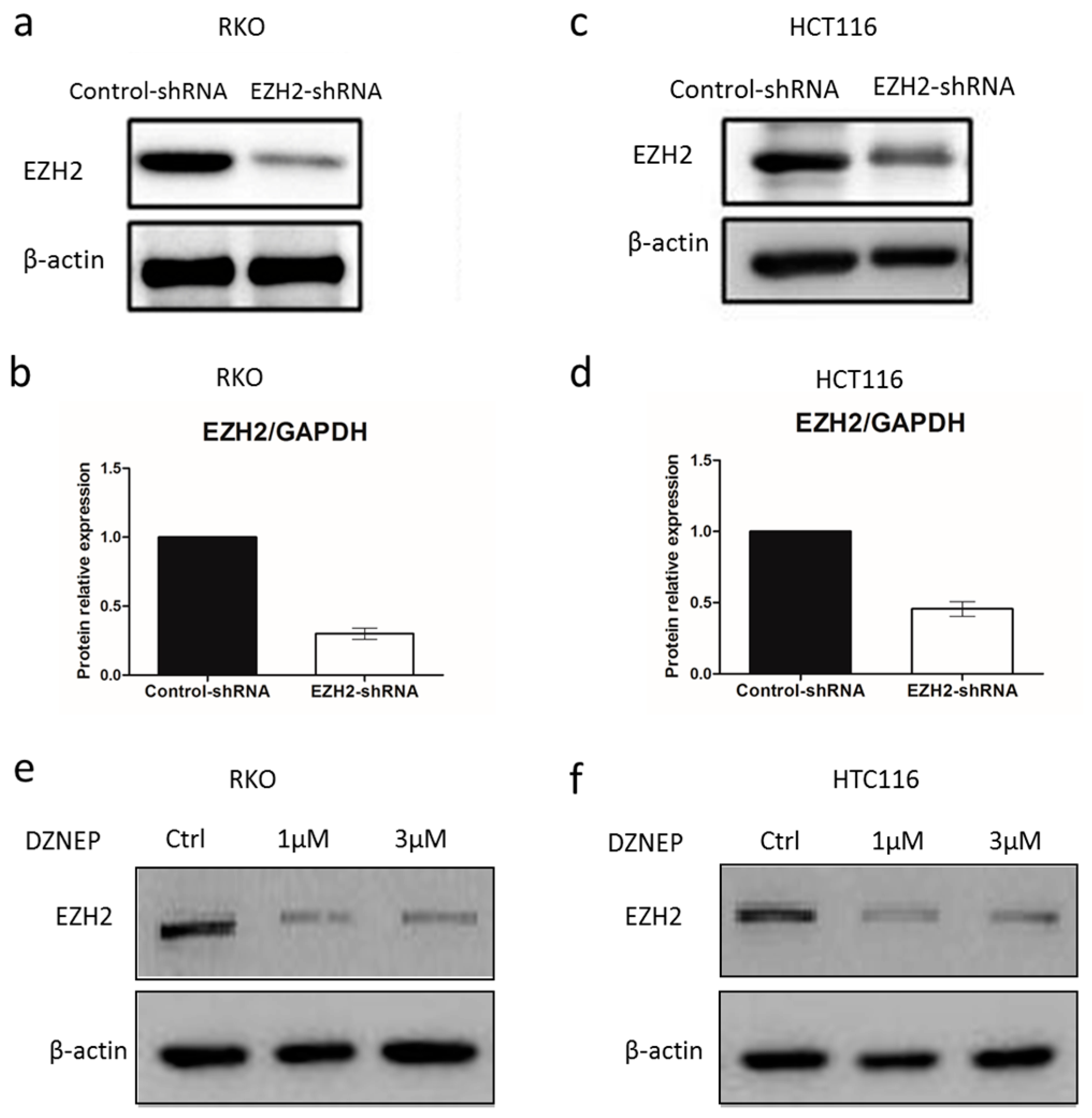 Genes 07 00083 g003