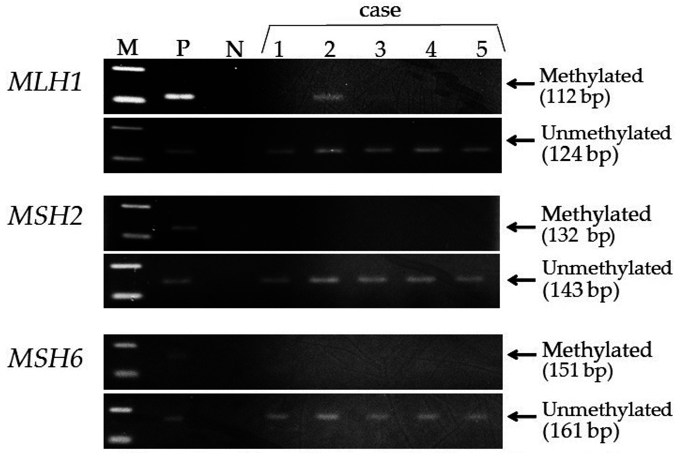 Genes 07 00086 g001