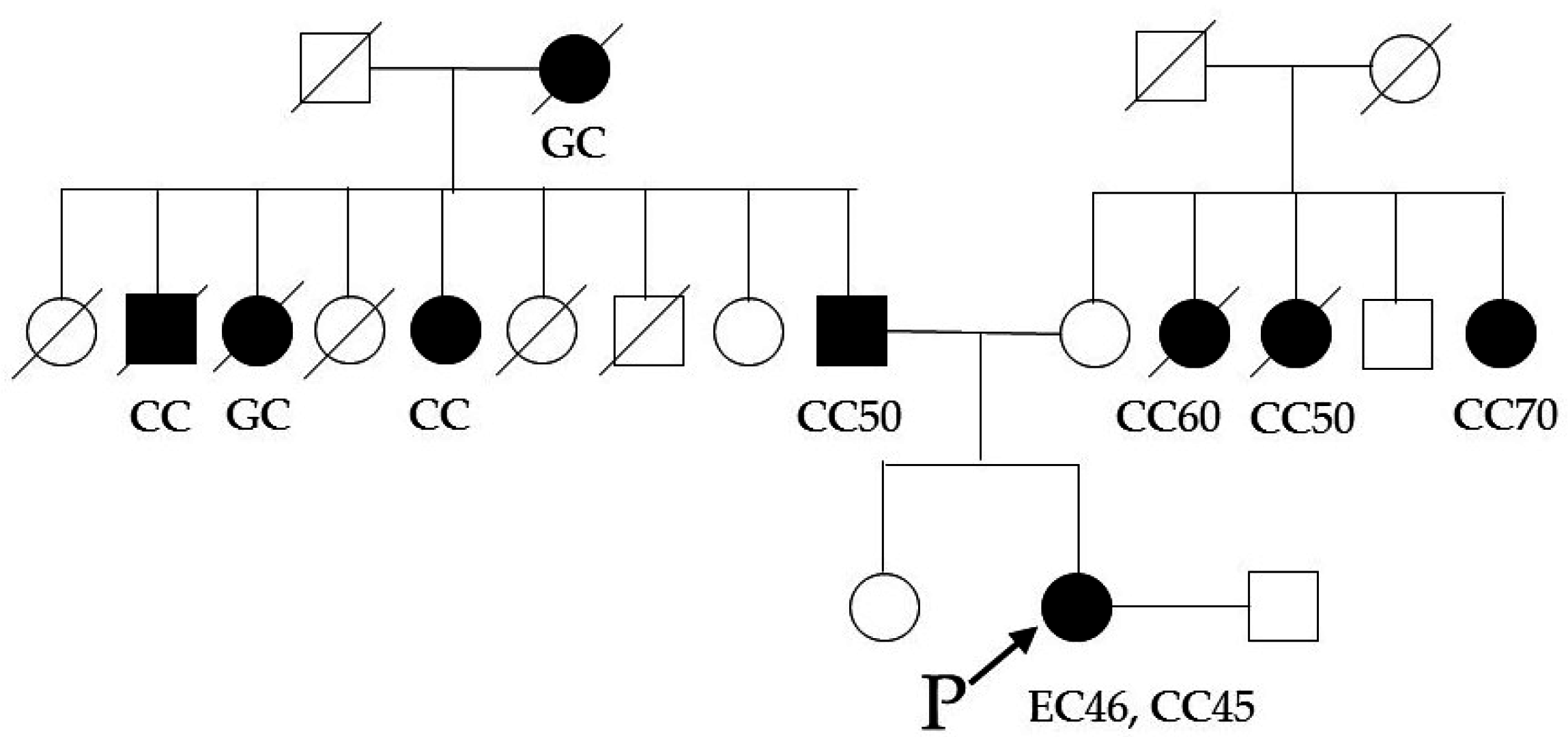 Genes 07 00086 g003