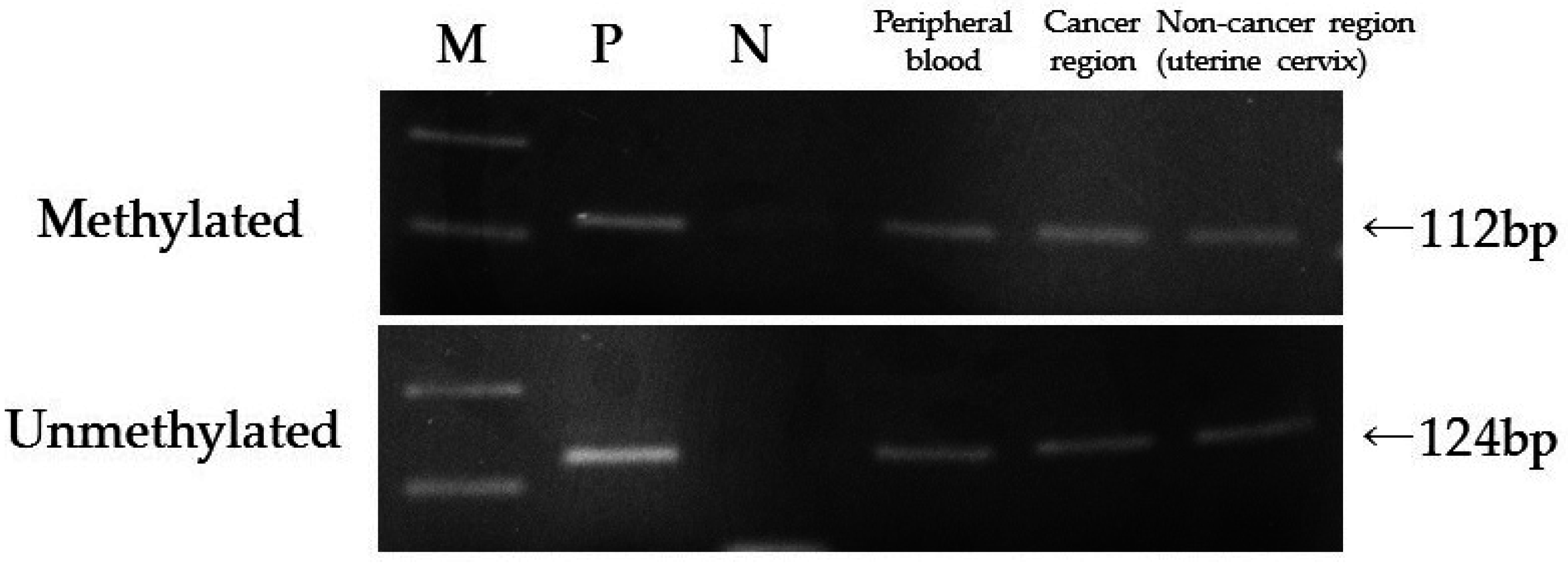 Genes 07 00086 g004