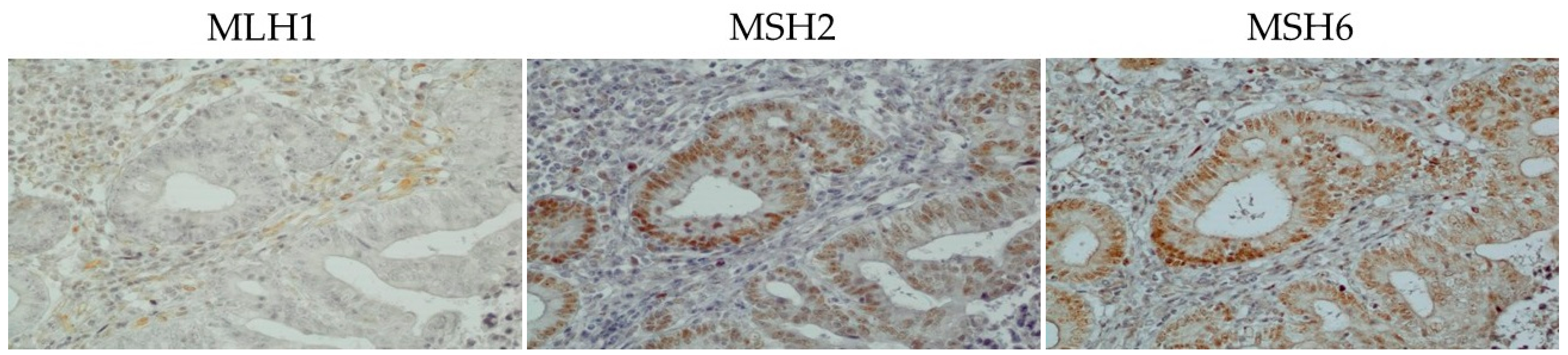 Genes 07 00086 g006