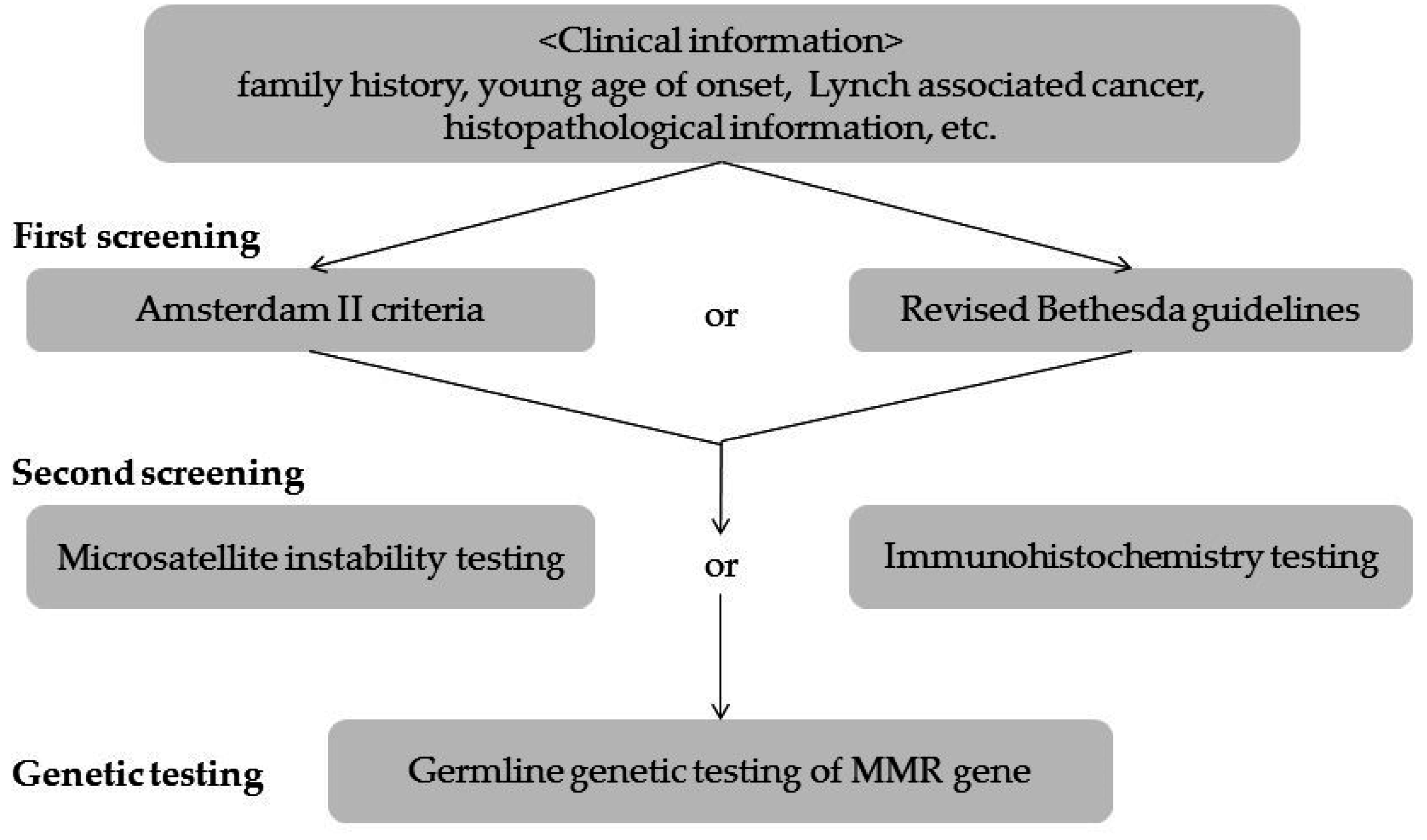 Genes 07 00086 g008