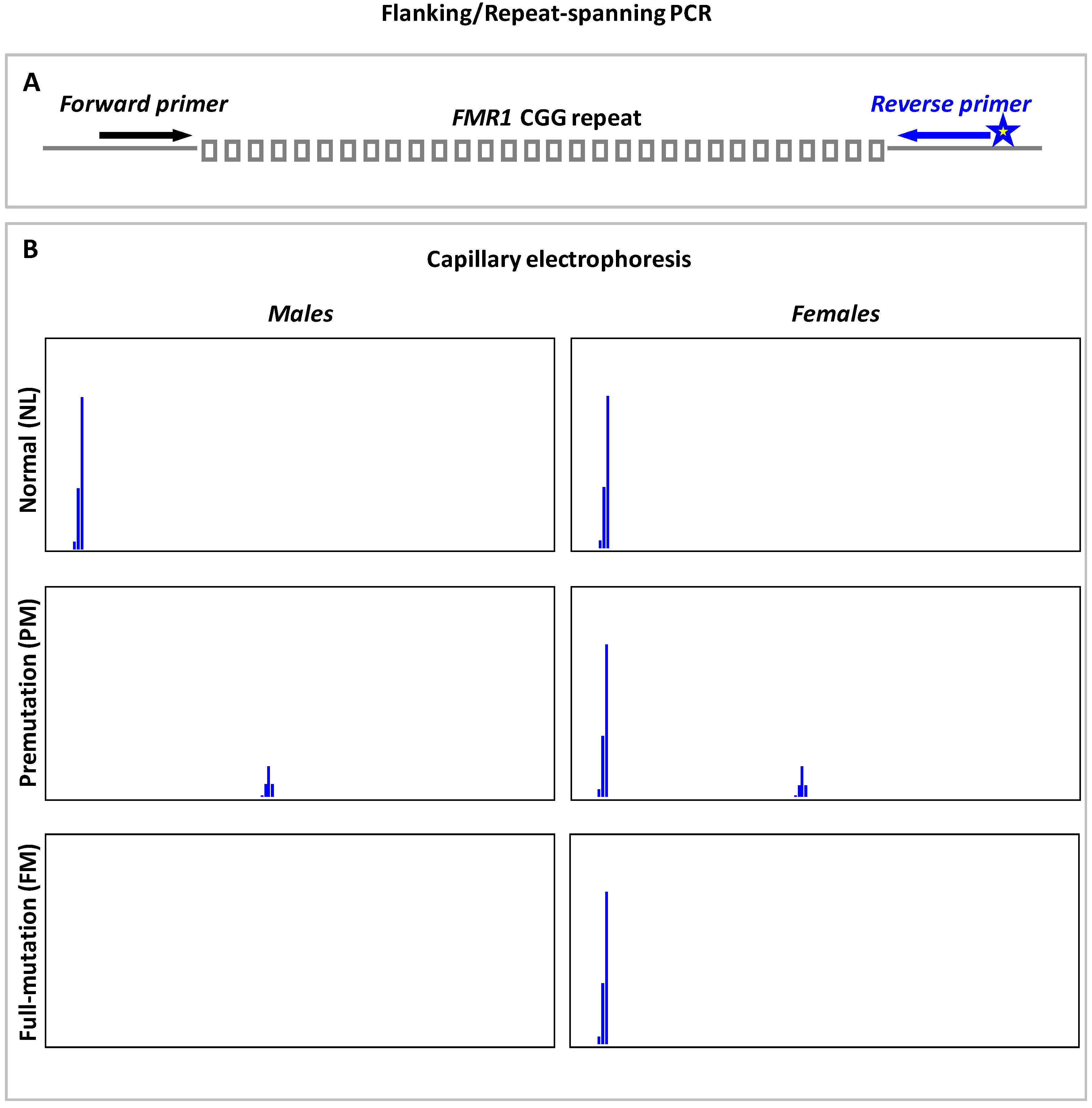Genes 07 00087 g001