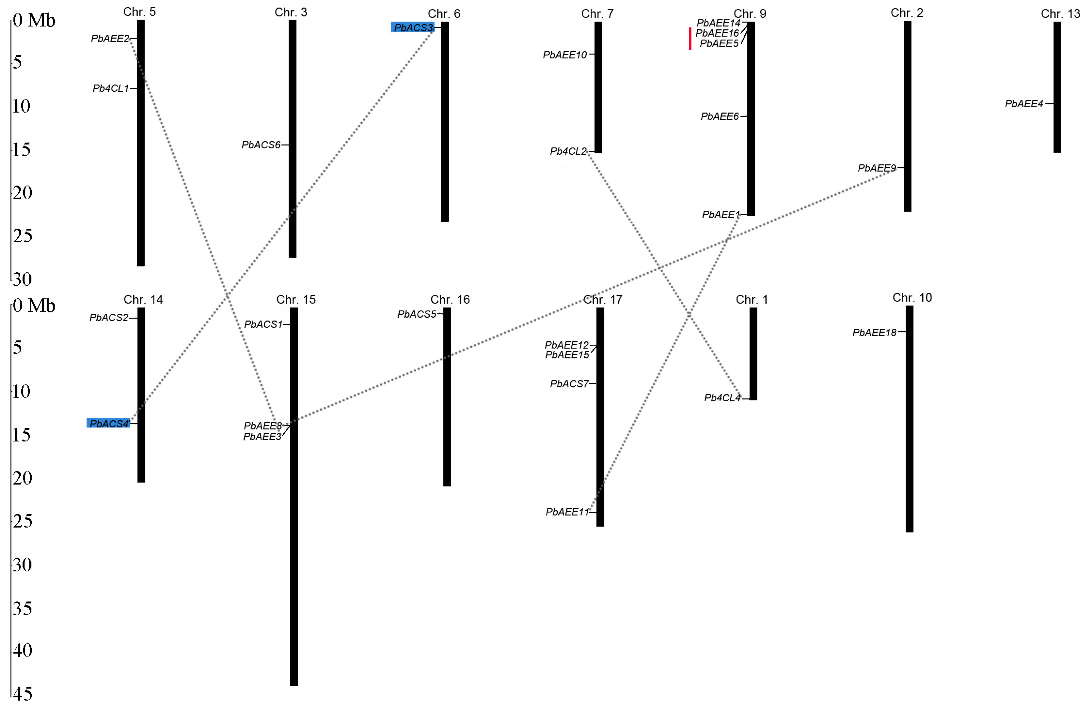 Genes 07 00089 g004