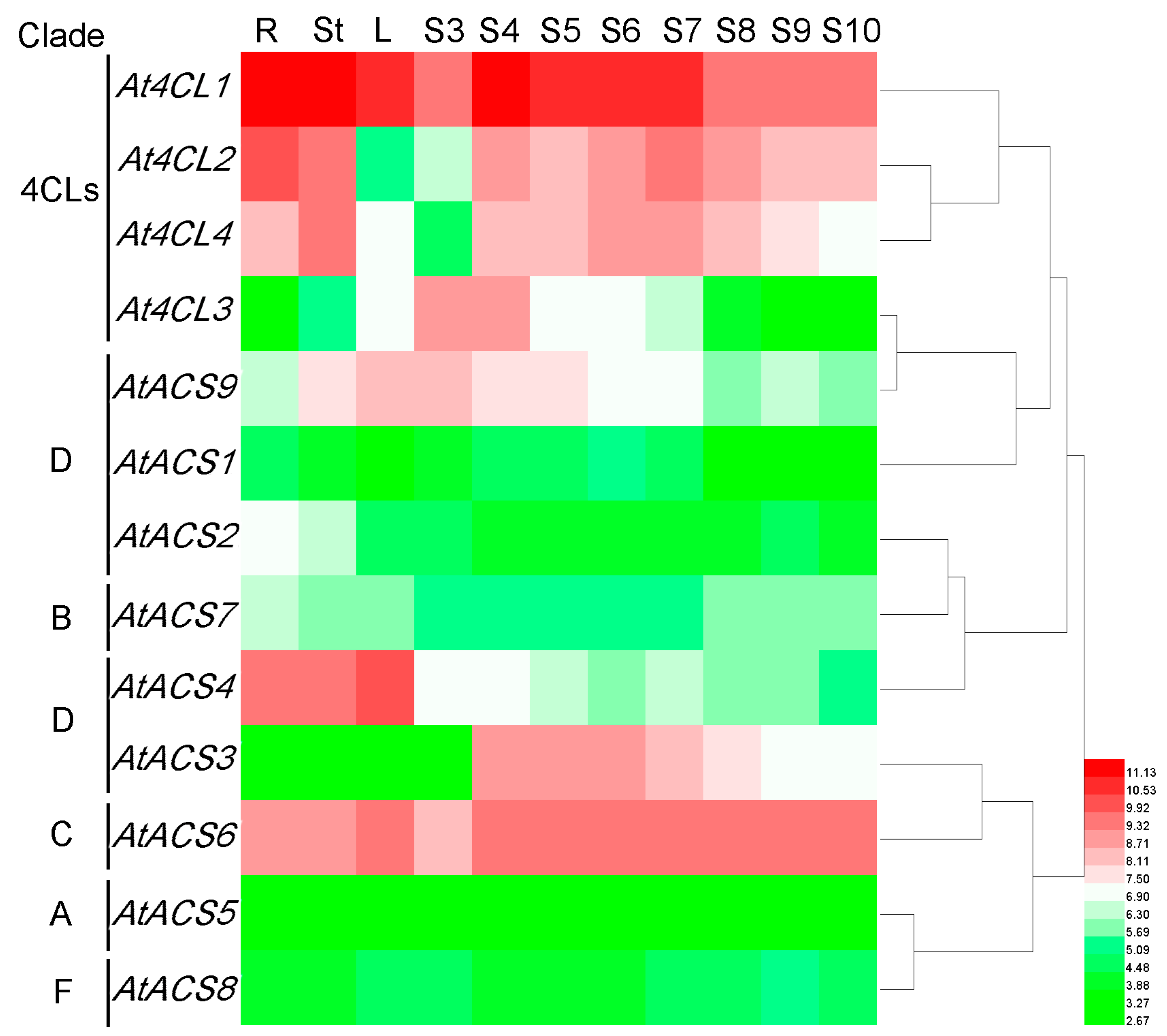 Genes 07 00089 g007