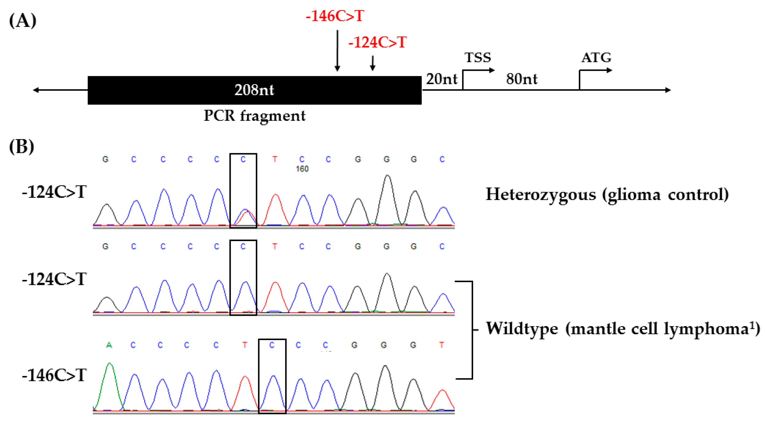 genes free full text
