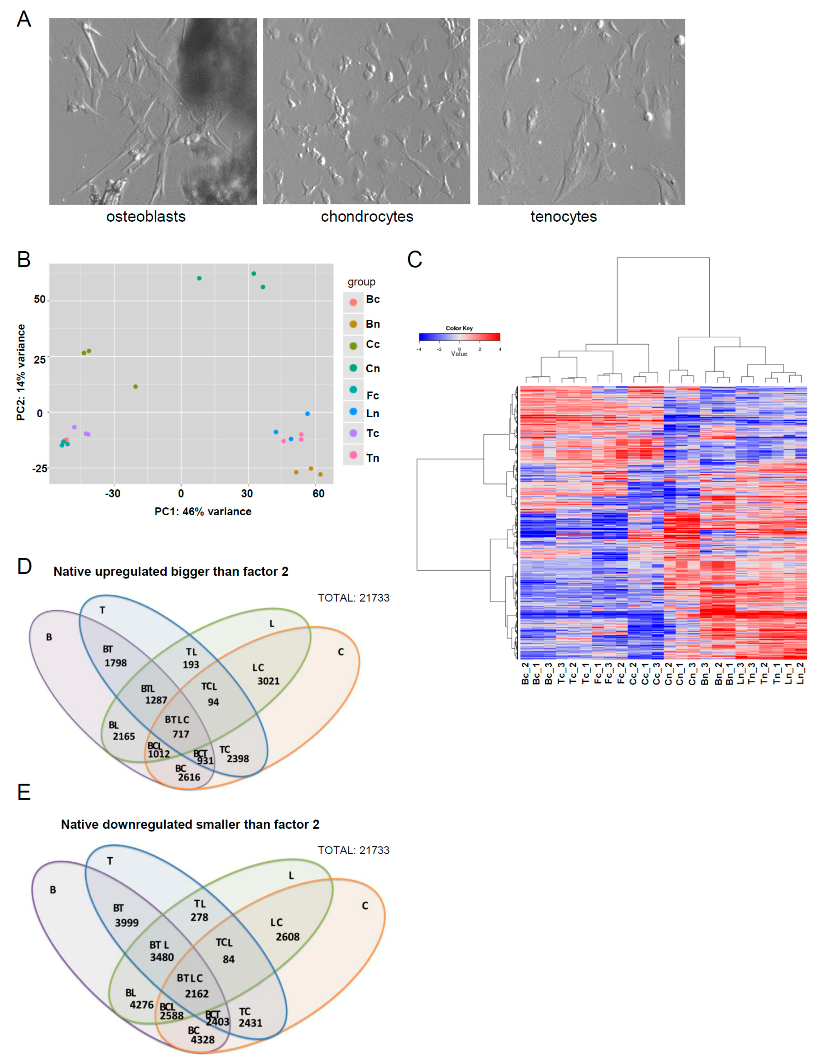 Genes 07 00097 g001 550