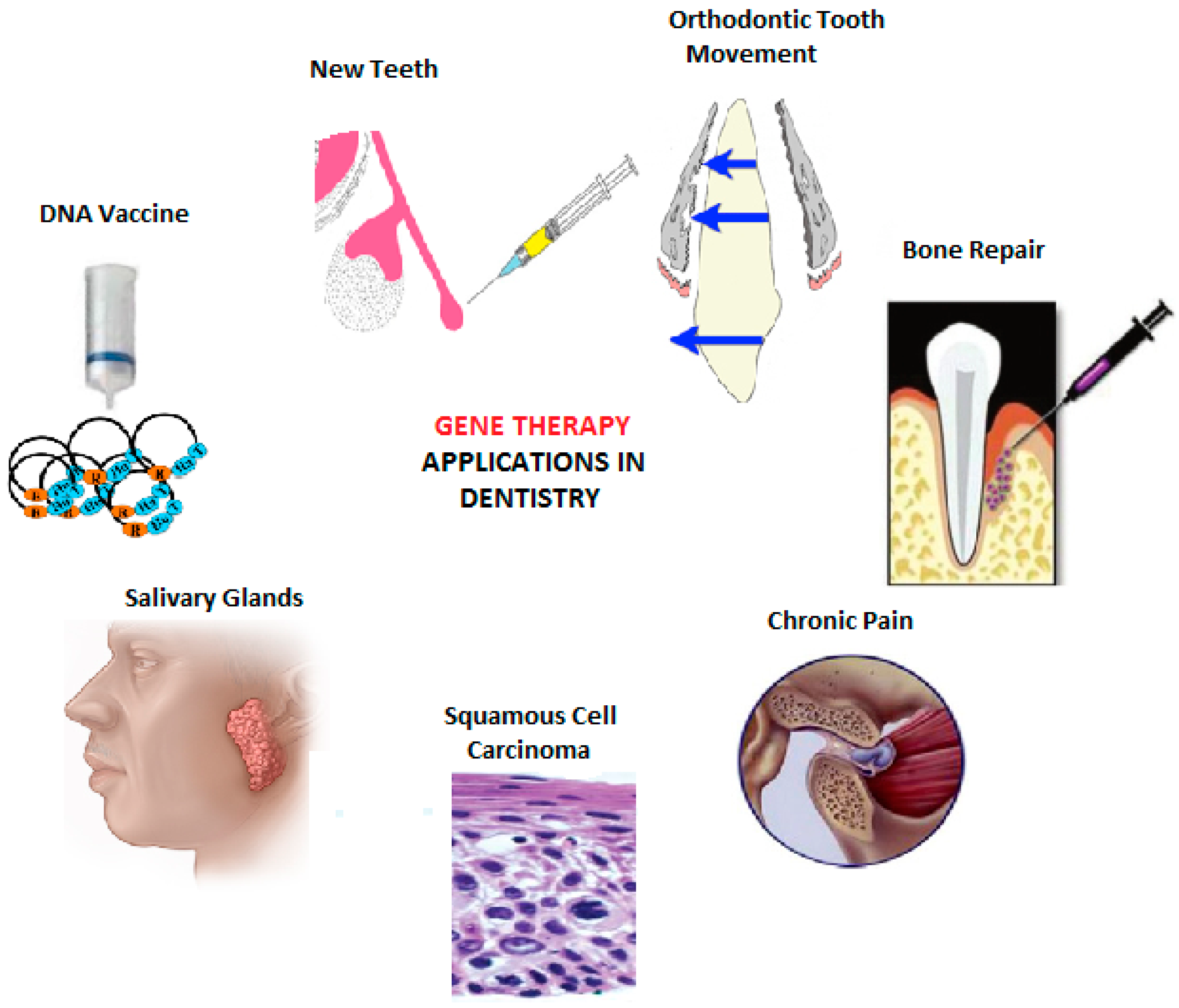 paradigm shift define paradigm shift define