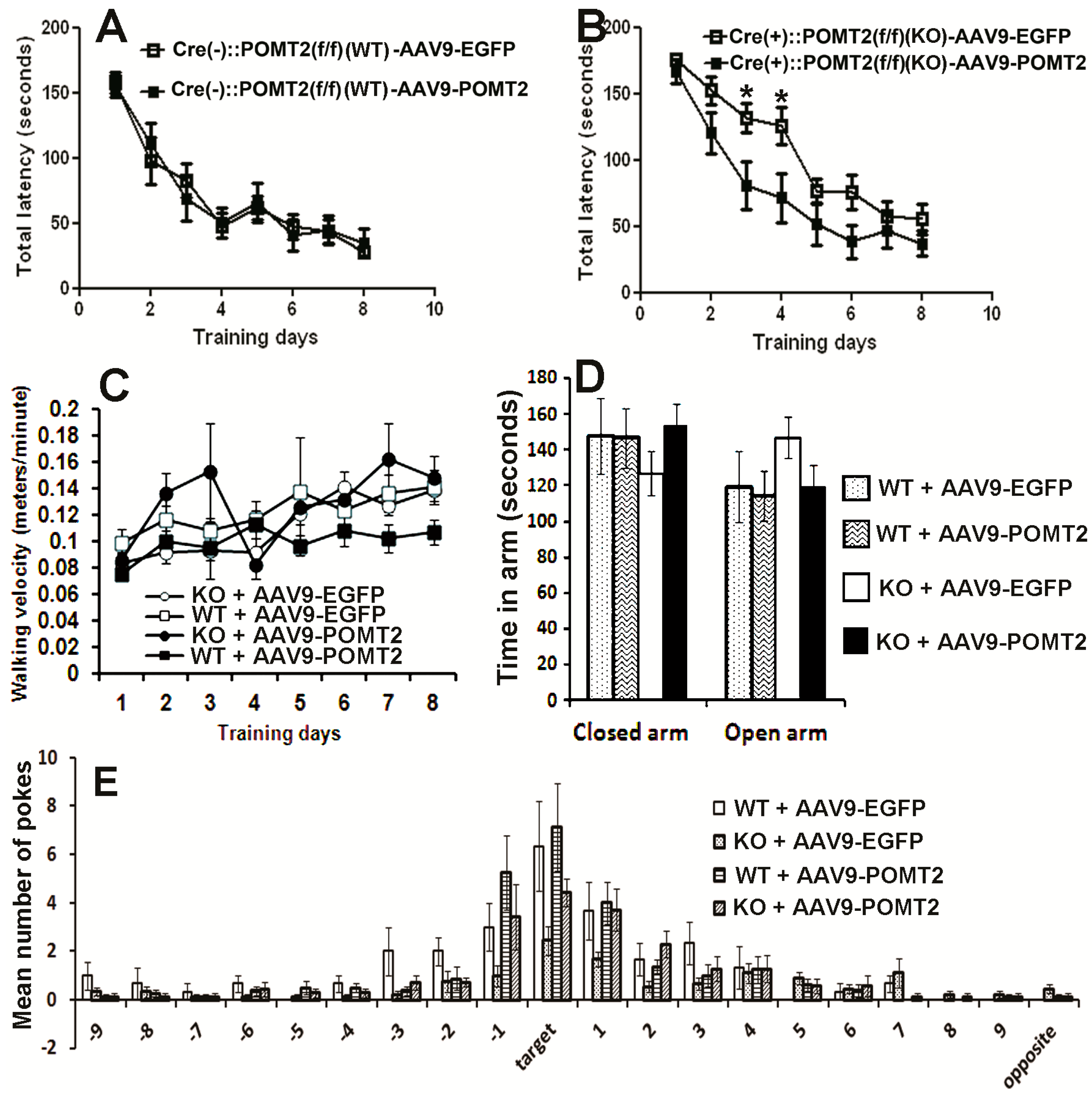 Genes 07 00105 g006