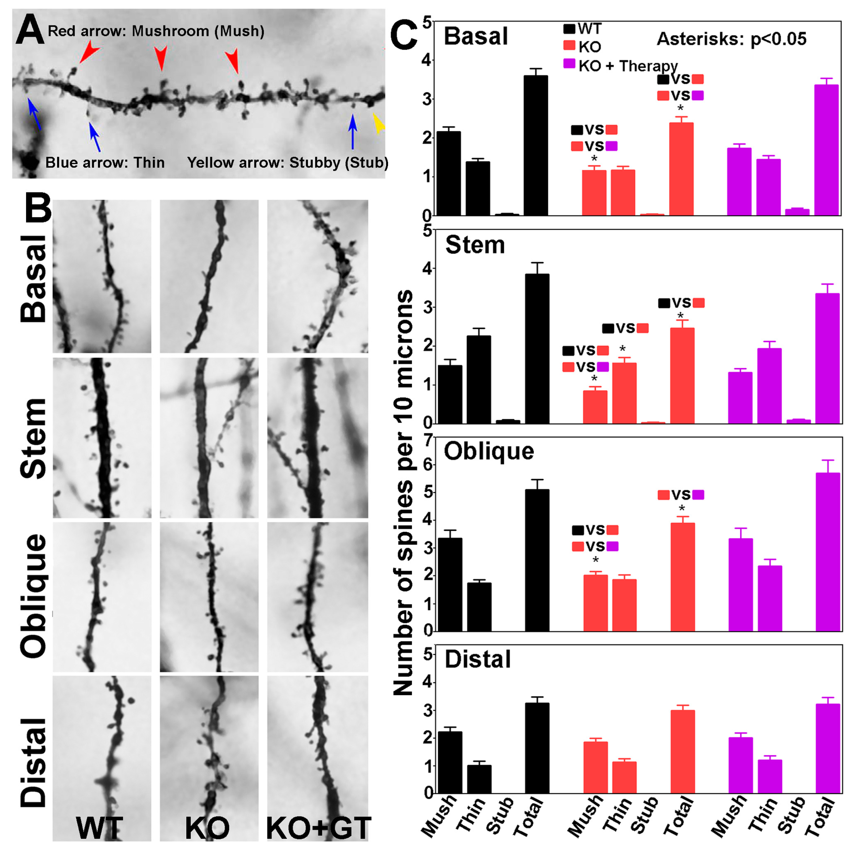 Genes 07 00105 g008