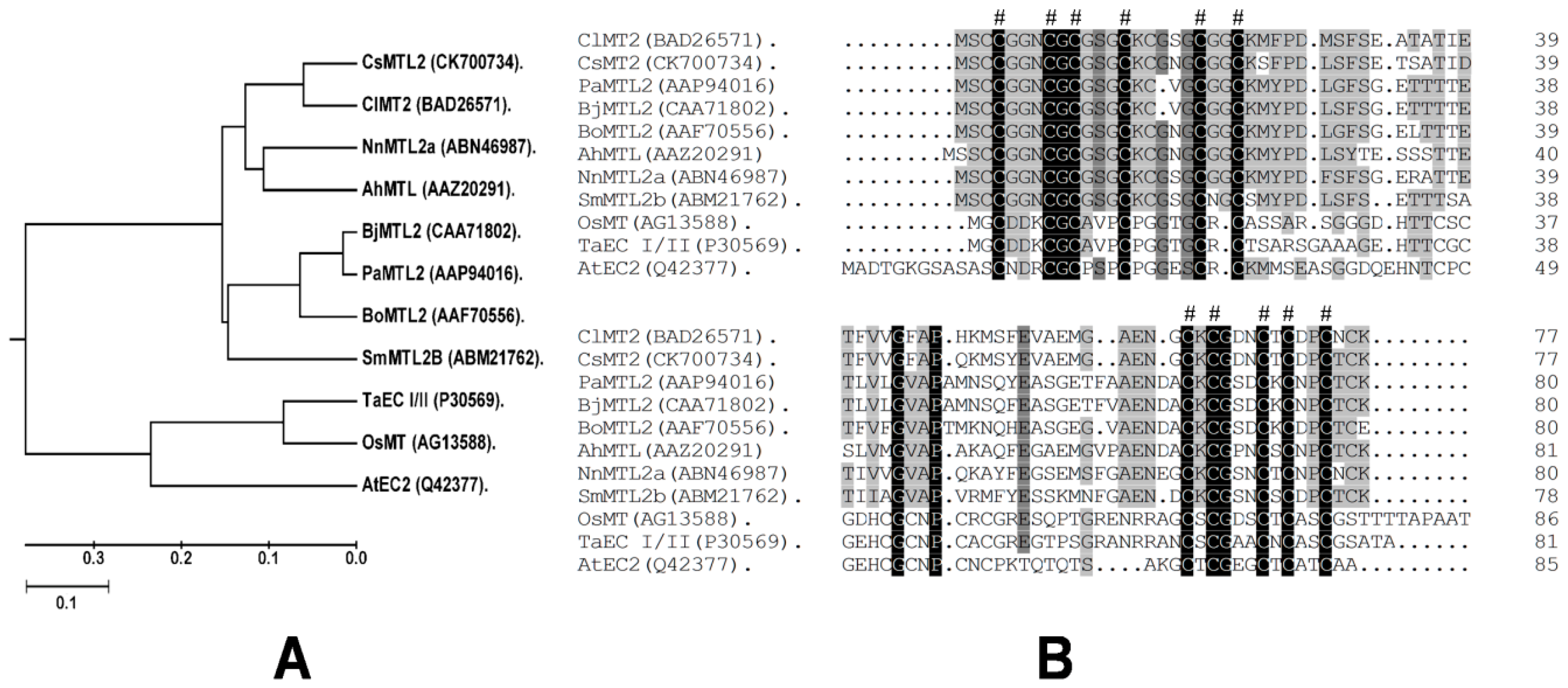 Genes 07 00106 g001
