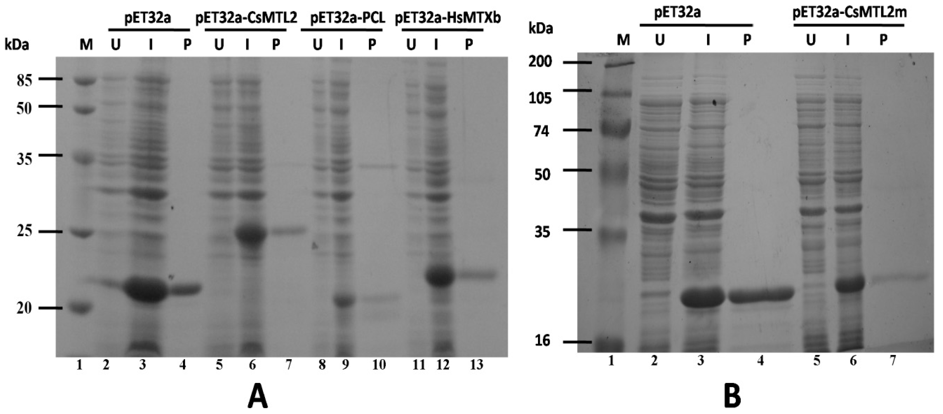 Genes 07 00106 g004
