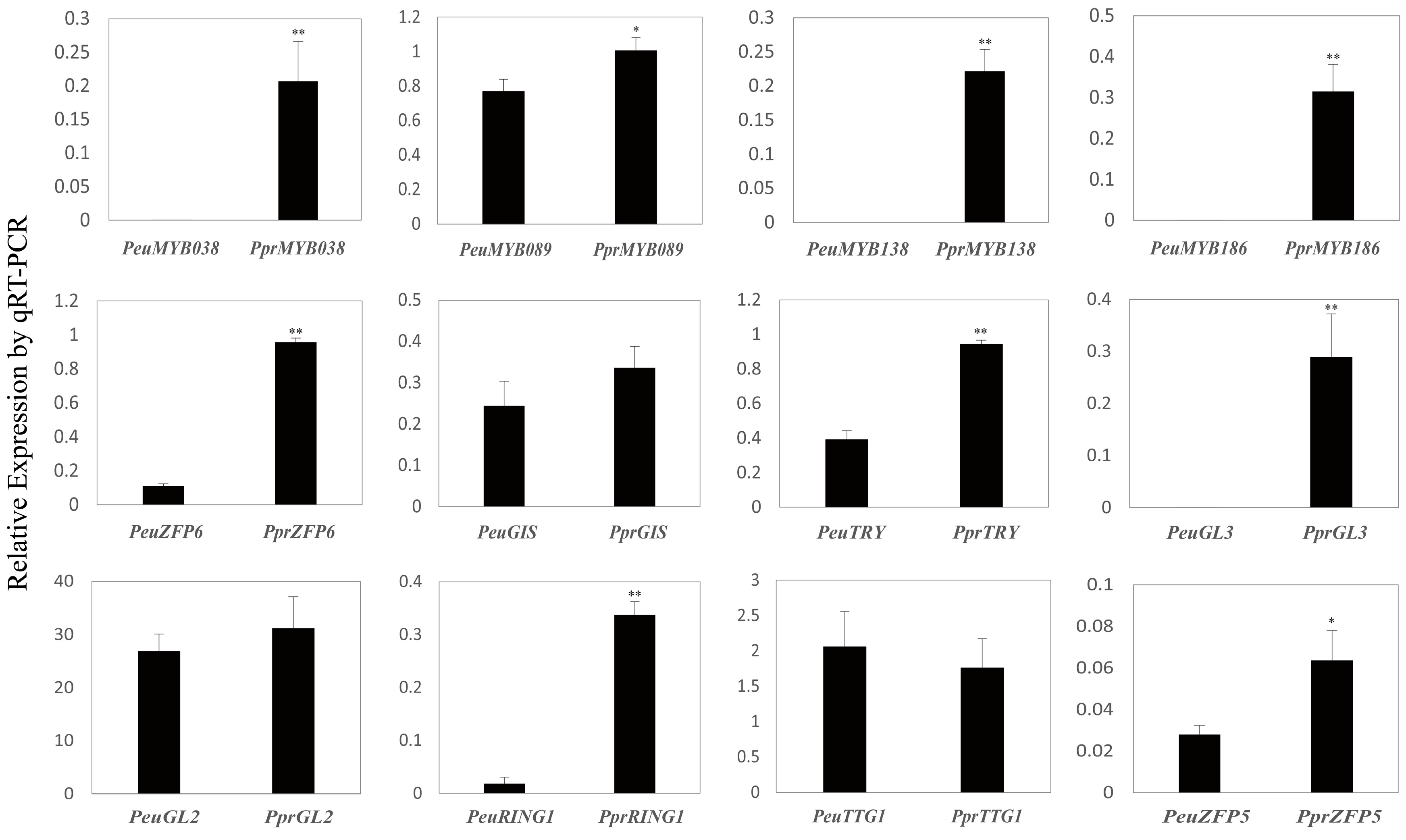 Genes 07 00111 g007 550