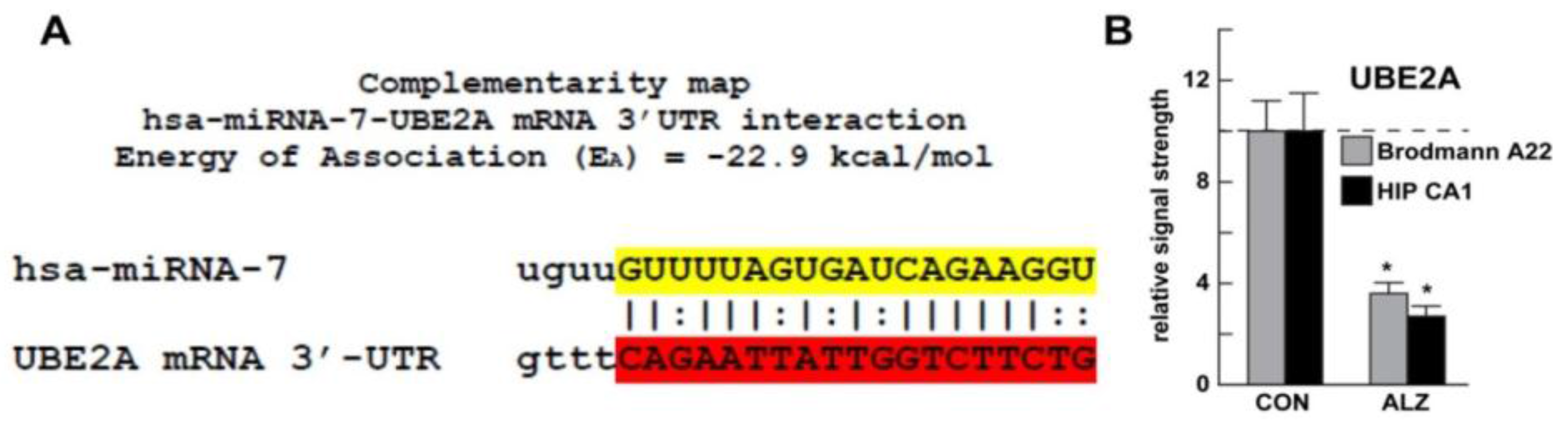 Genes 07 00116 g001