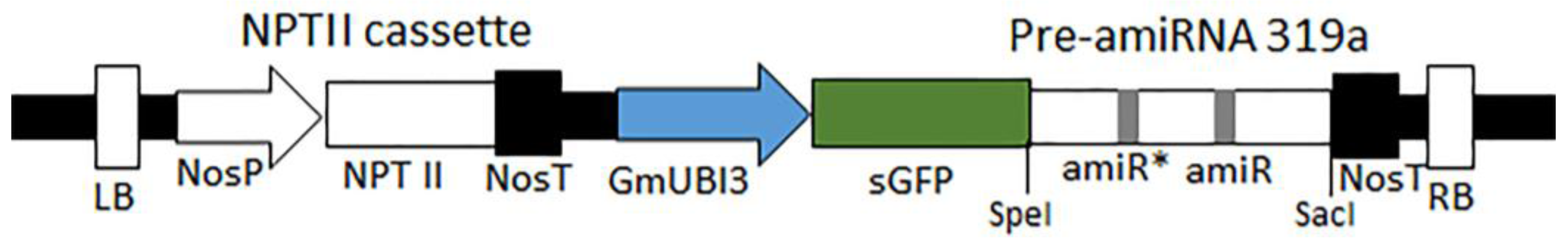 Genes 07 00122 g001