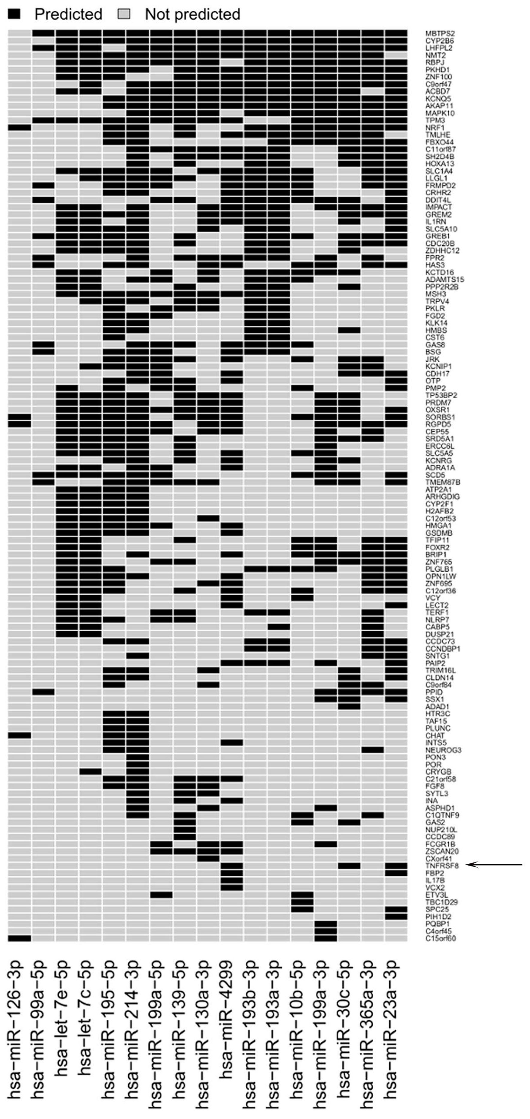 Genes 07 00124 g005