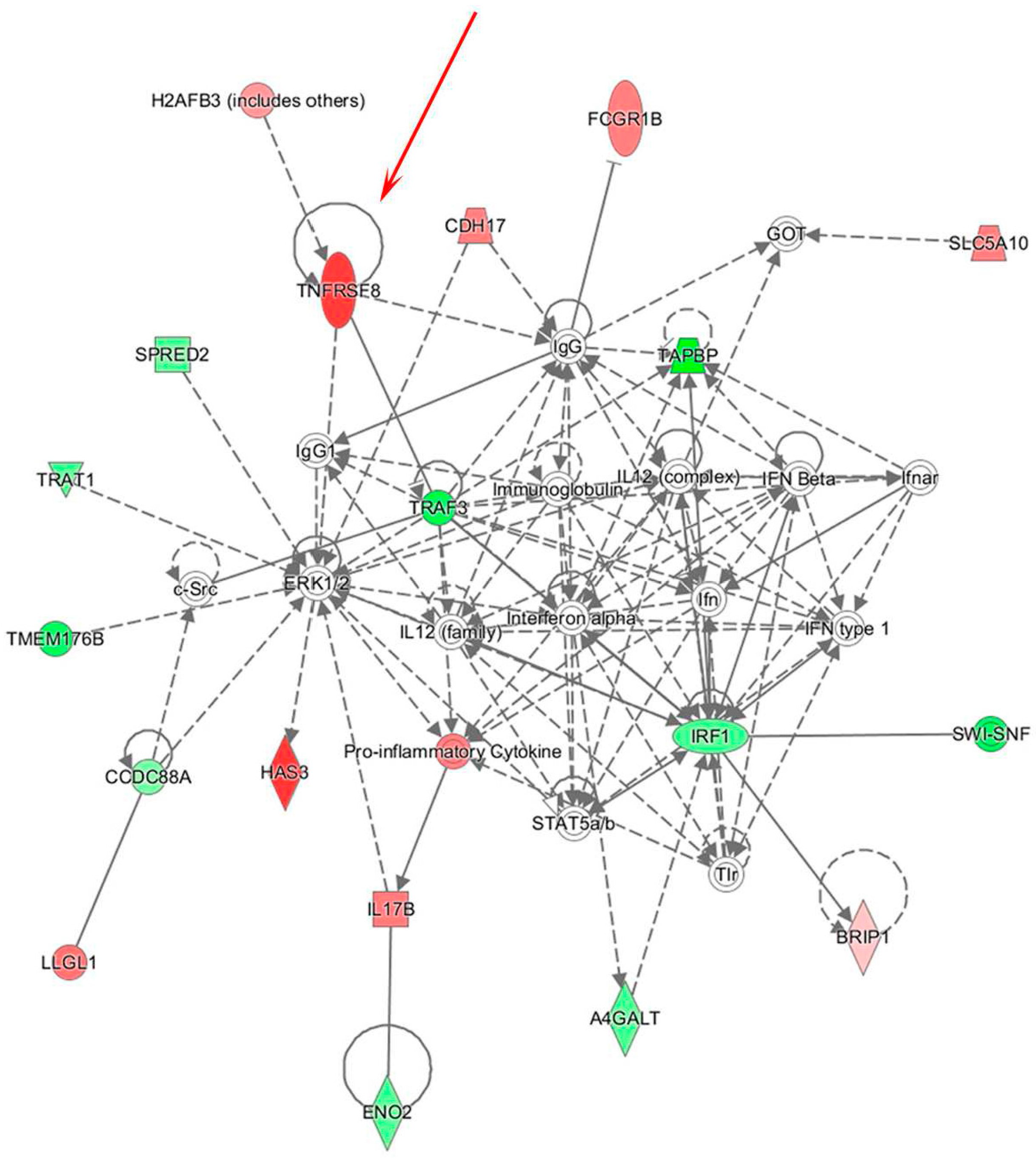 Genes 07 00124 g006