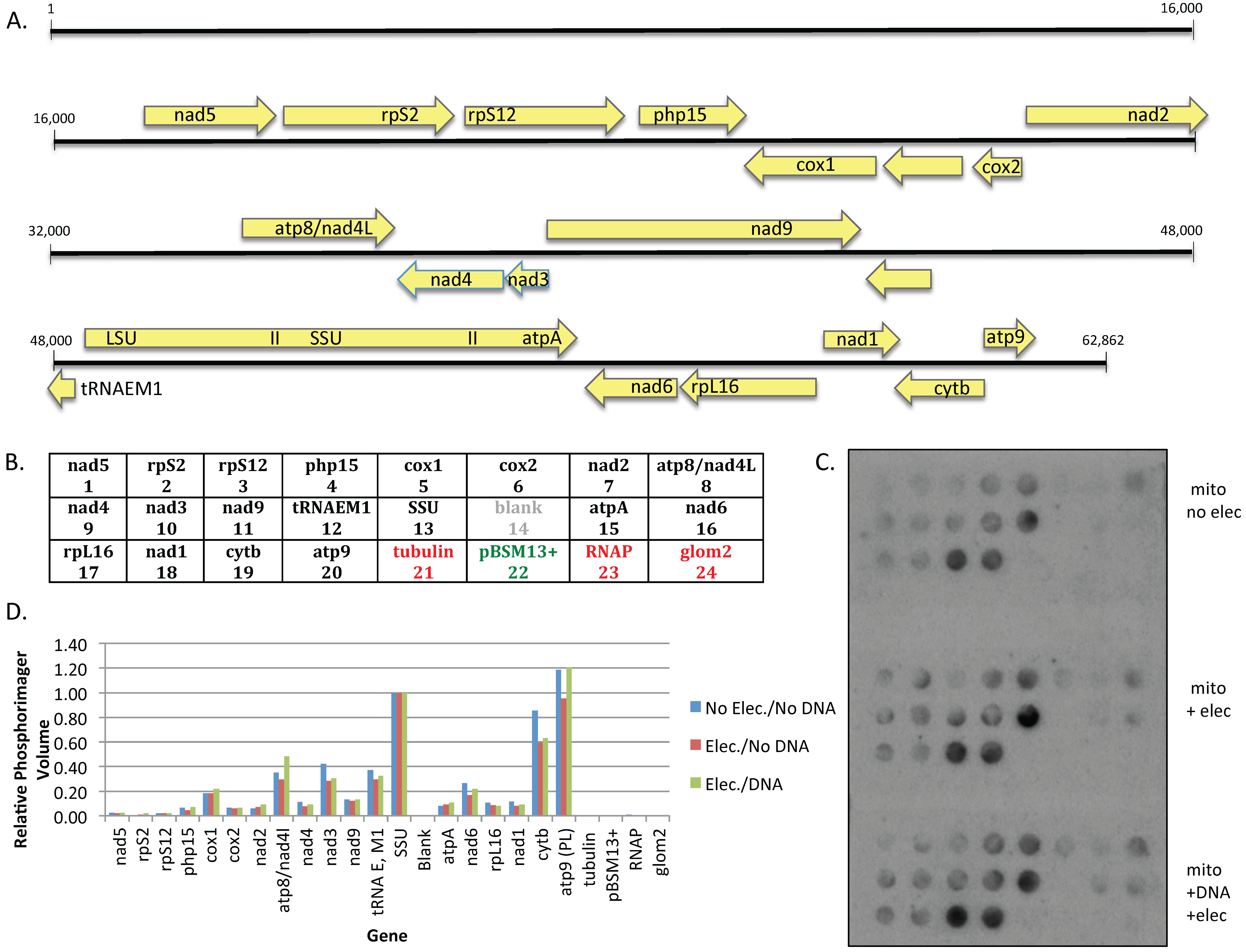 Genes 07 00128 g003 550