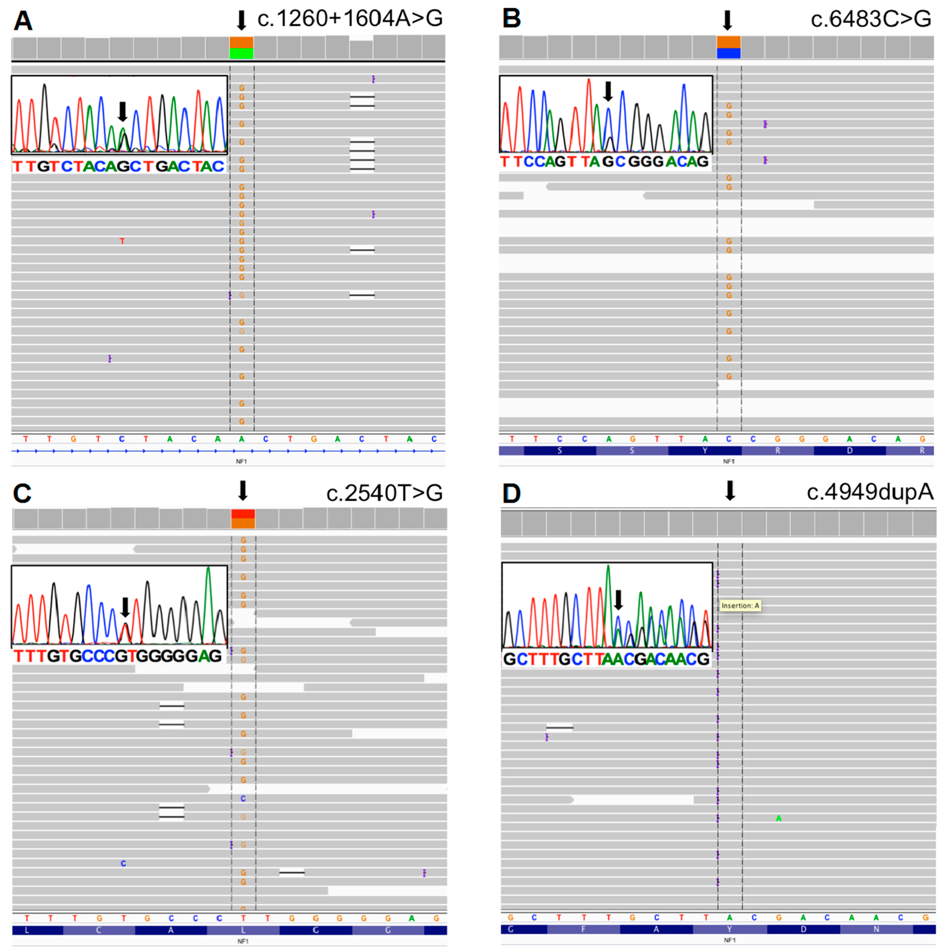 Genes 07 00133 g002