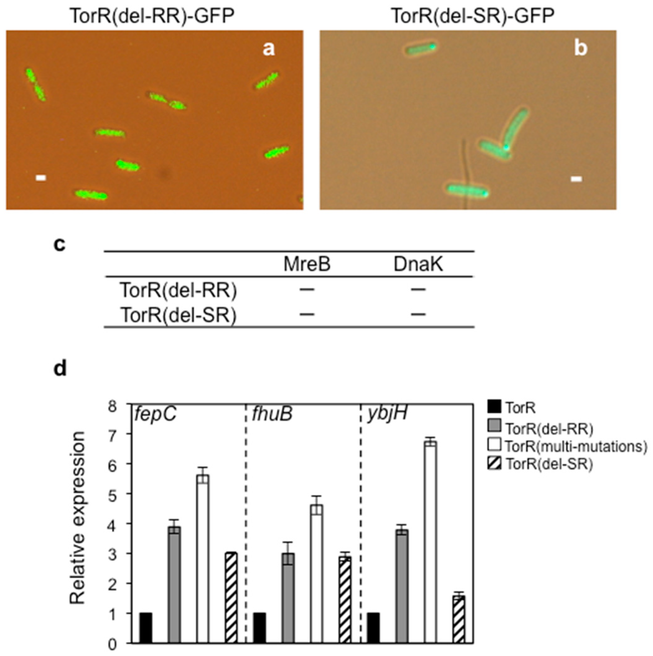 Genes 08 00001 g007