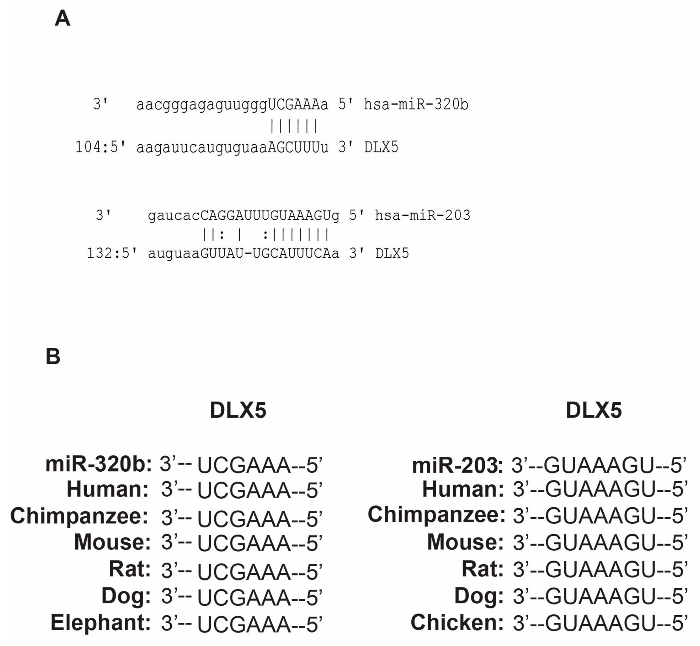 Genes 08 00004 g001