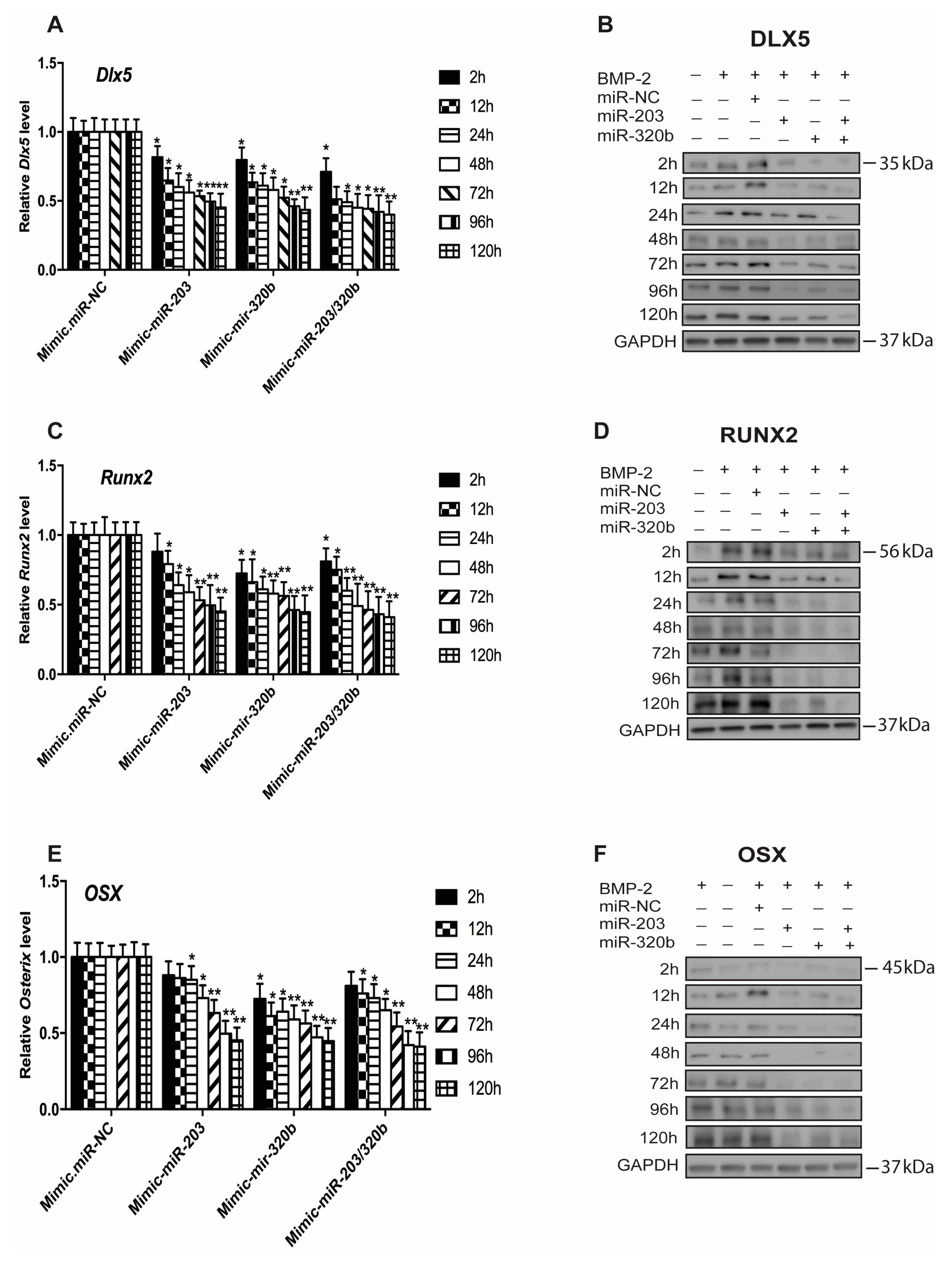 Genes 08 00004 g003