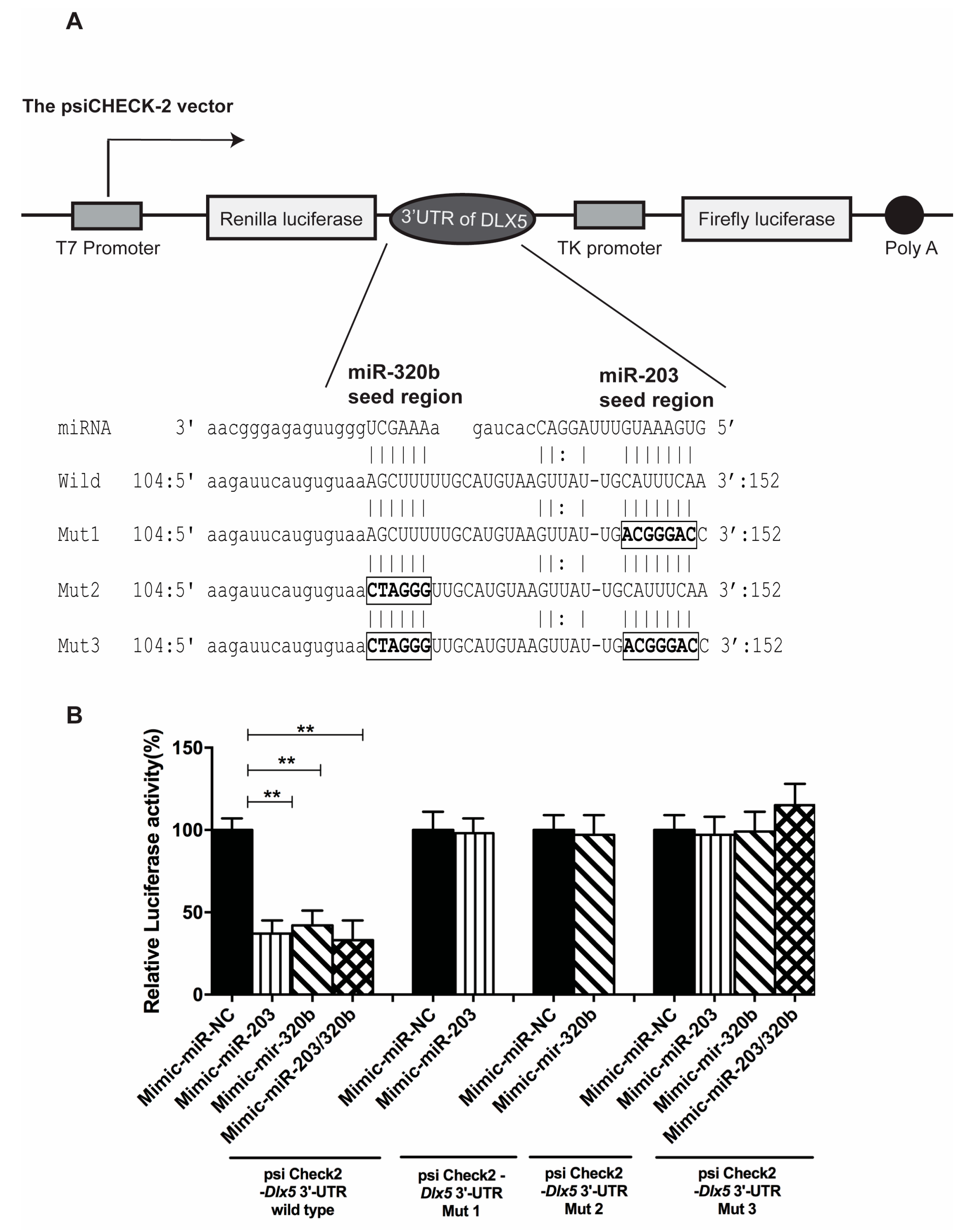 Genes 08 00004 g006